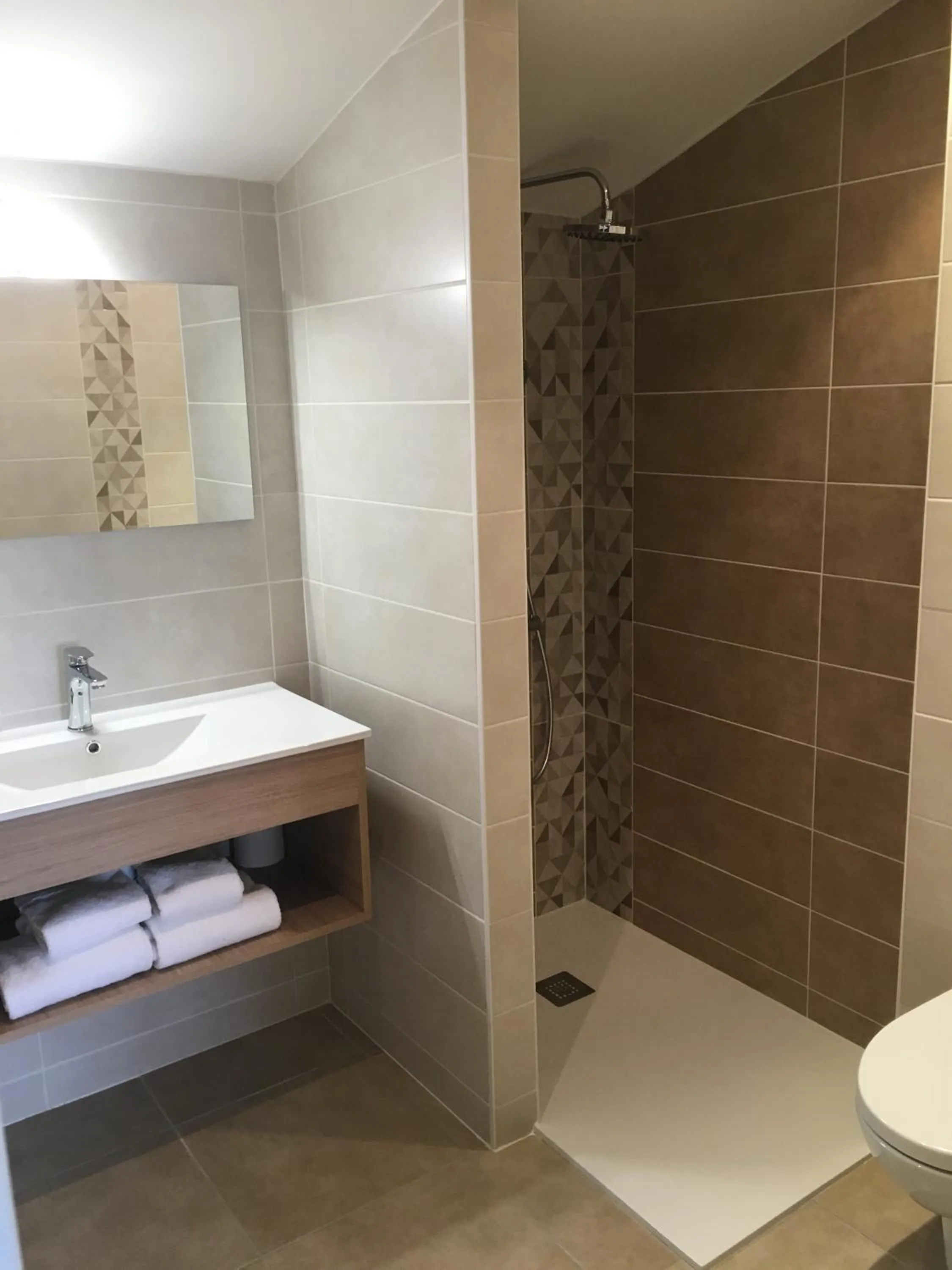 Shower in Logis Hôtel Le Moulin de Chalons