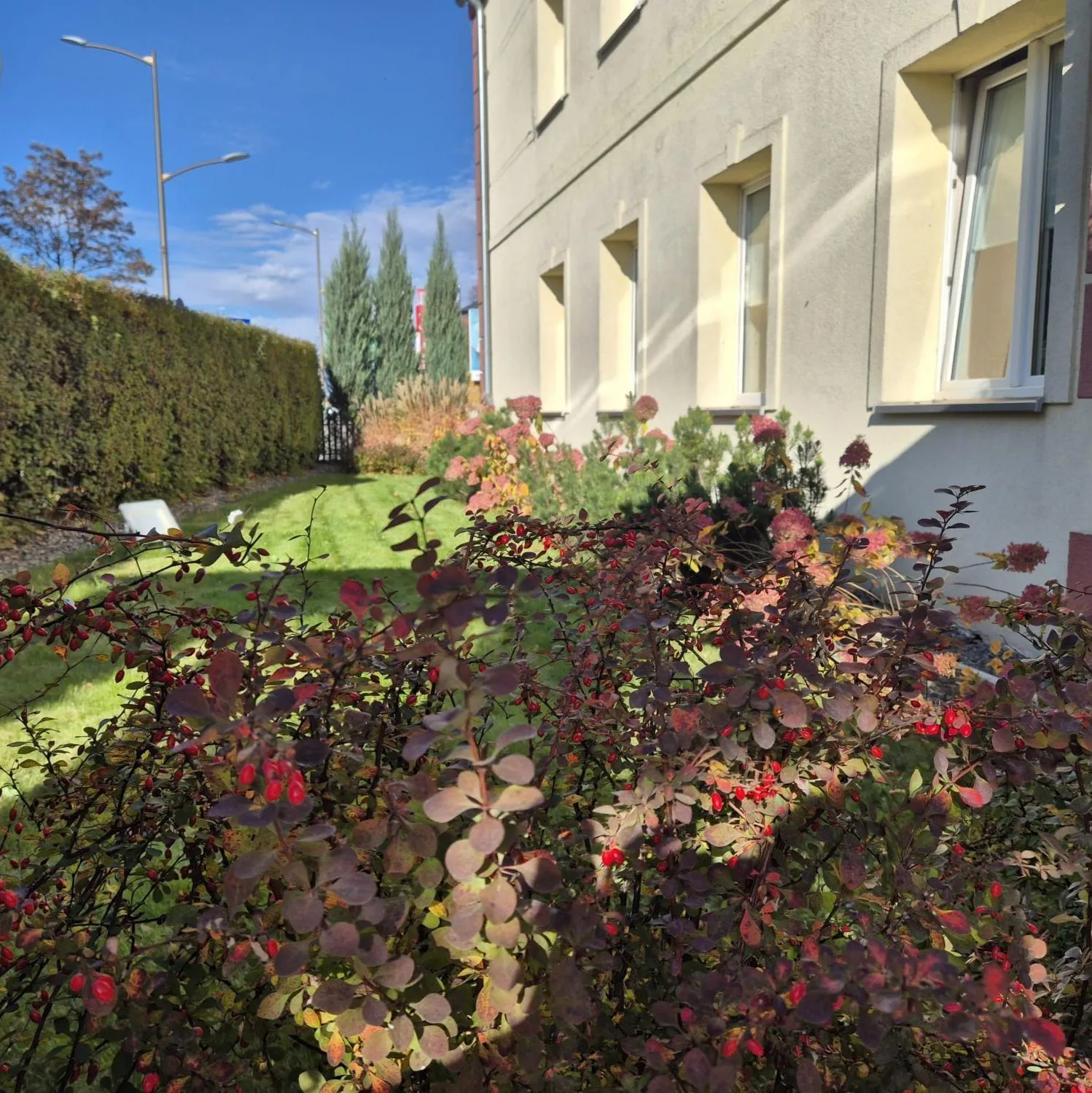 Property building in Delta In