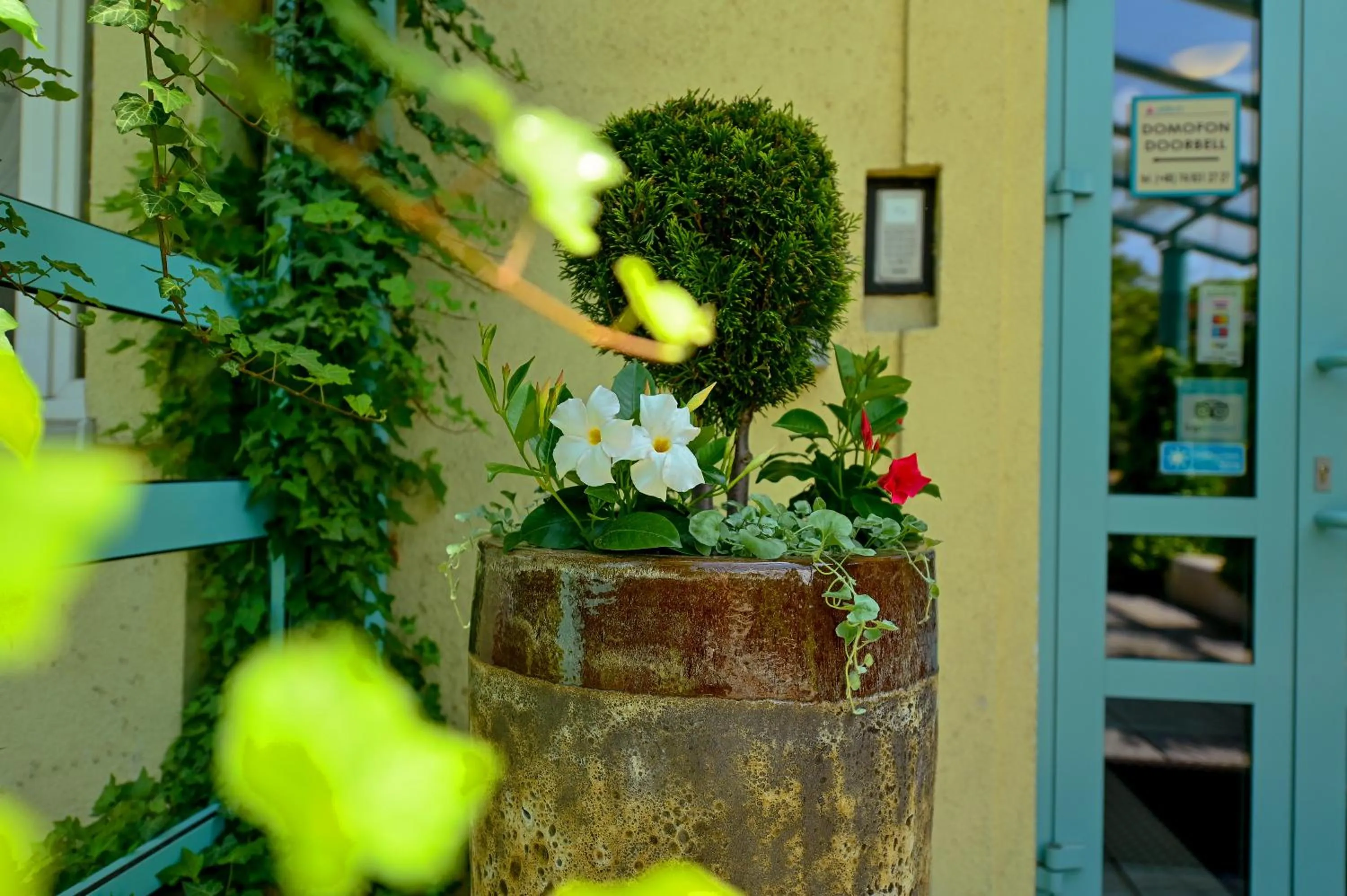 Property building in Delta In