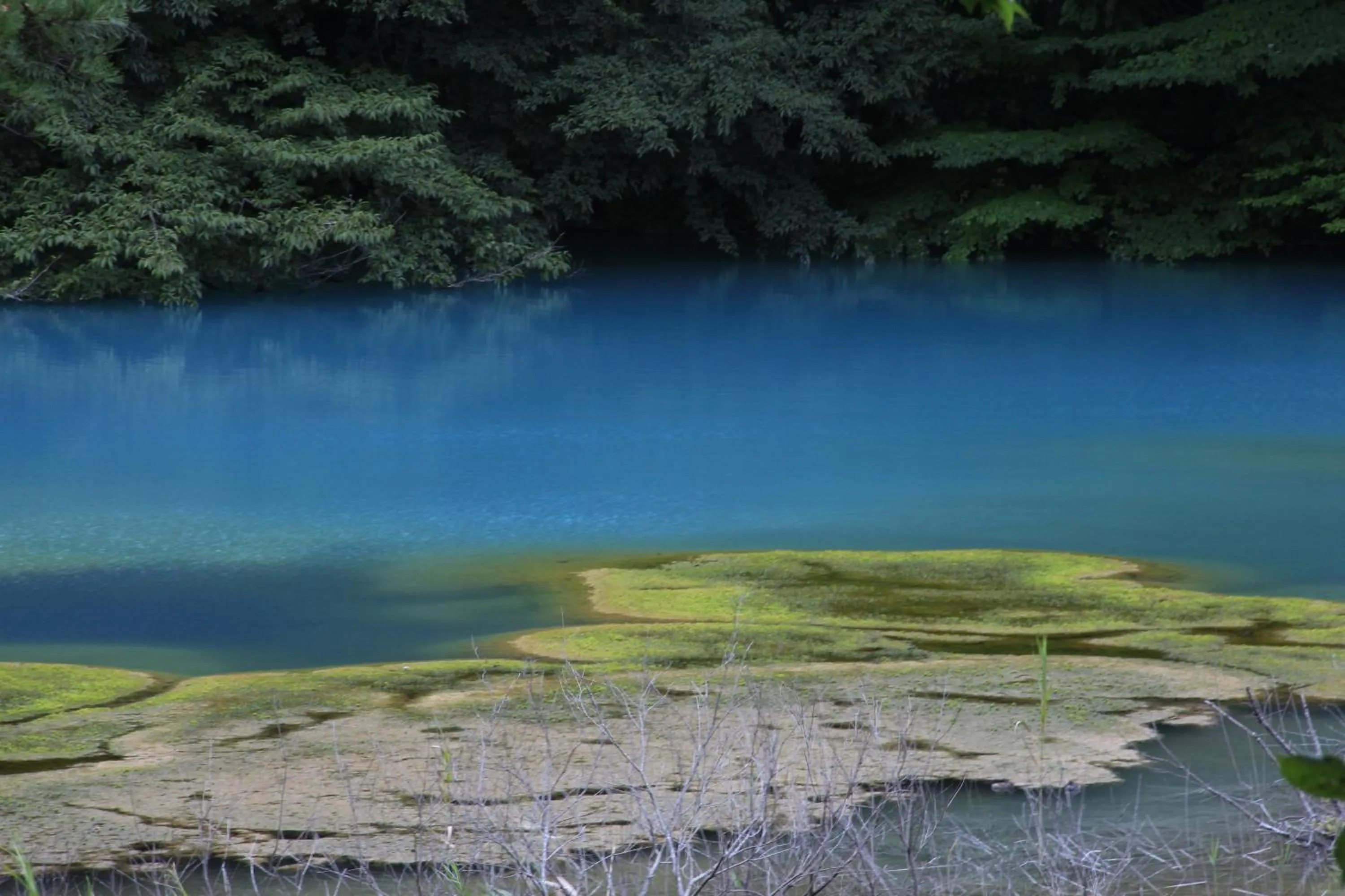 Country Inn Mori no Gorilla