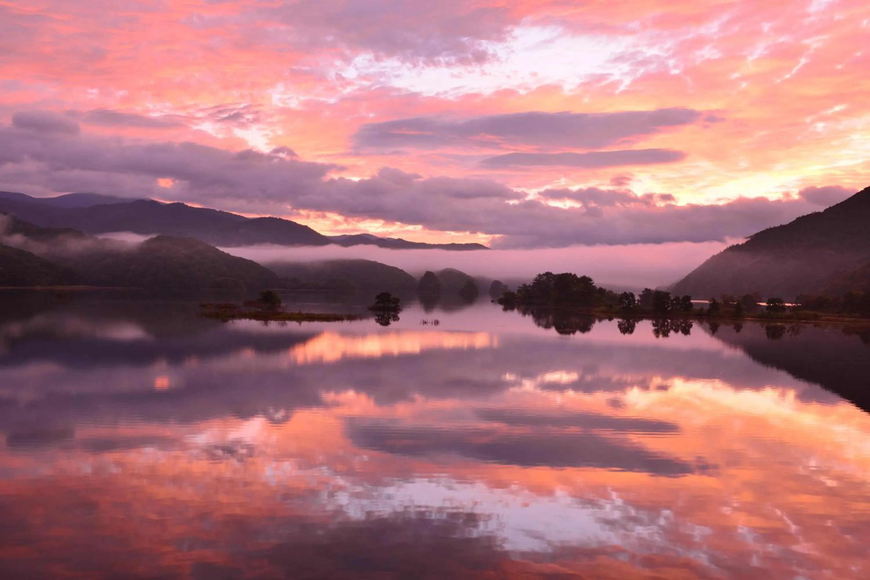 Country Inn Mori no Gorilla