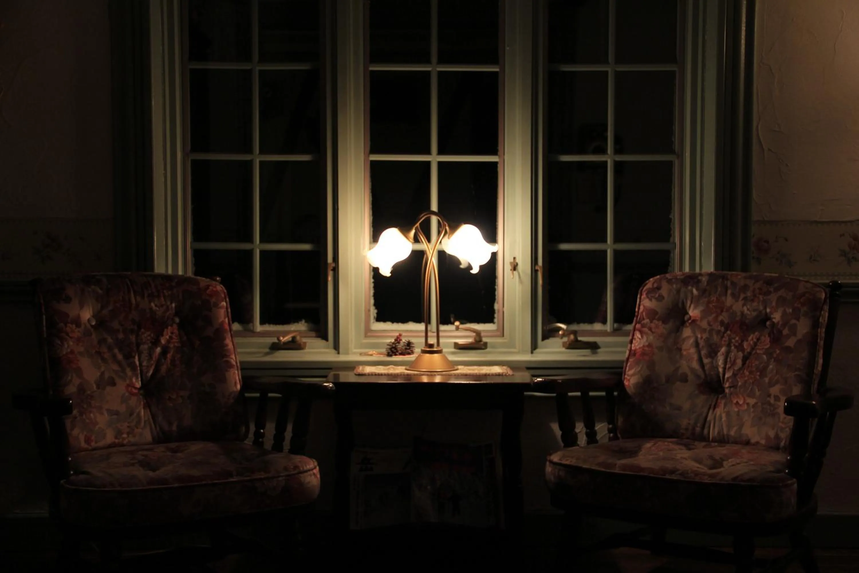 Country Inn Mori no Gorilla