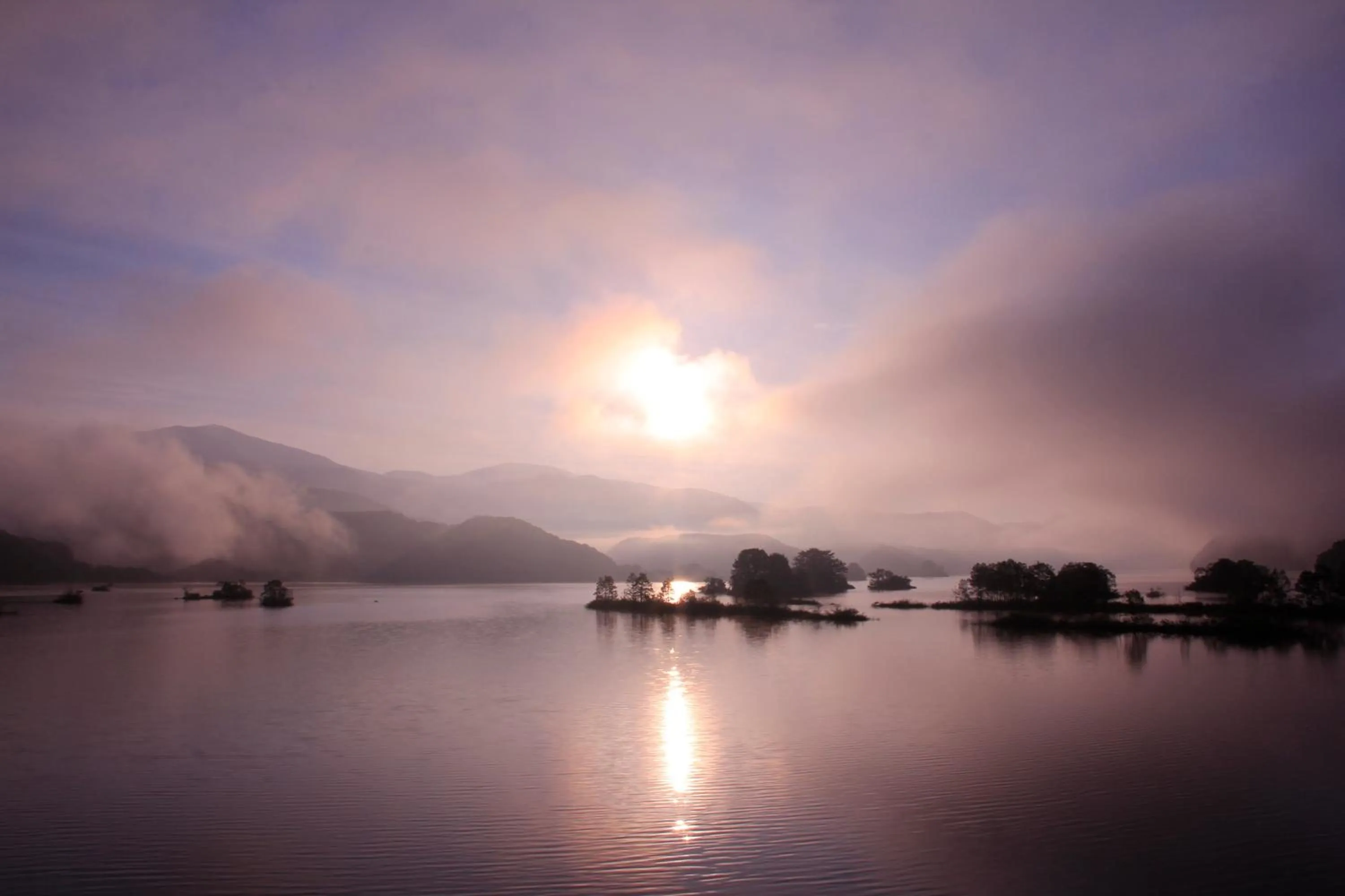 Country Inn Mori no Gorilla