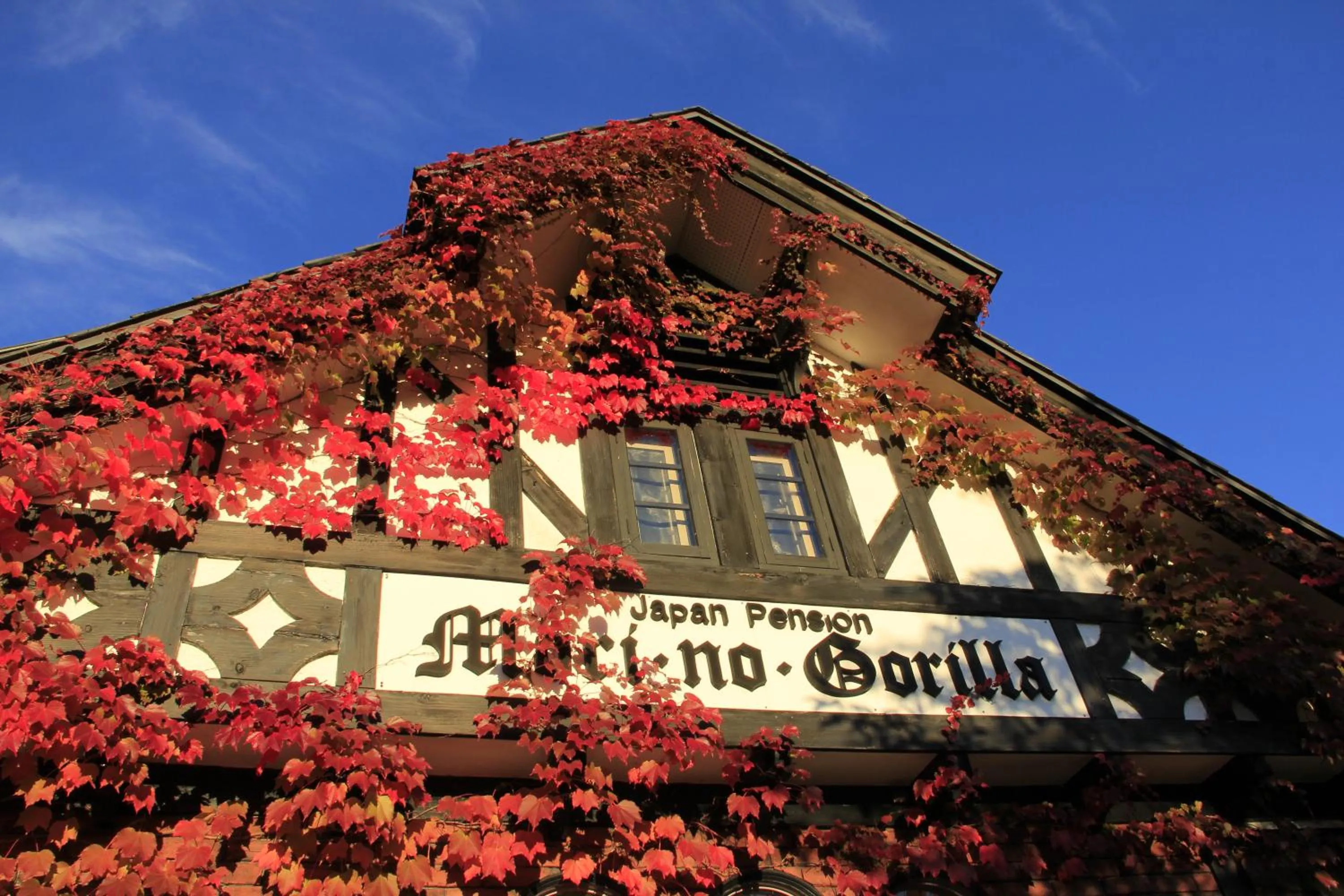 Country Inn Mori no Gorilla