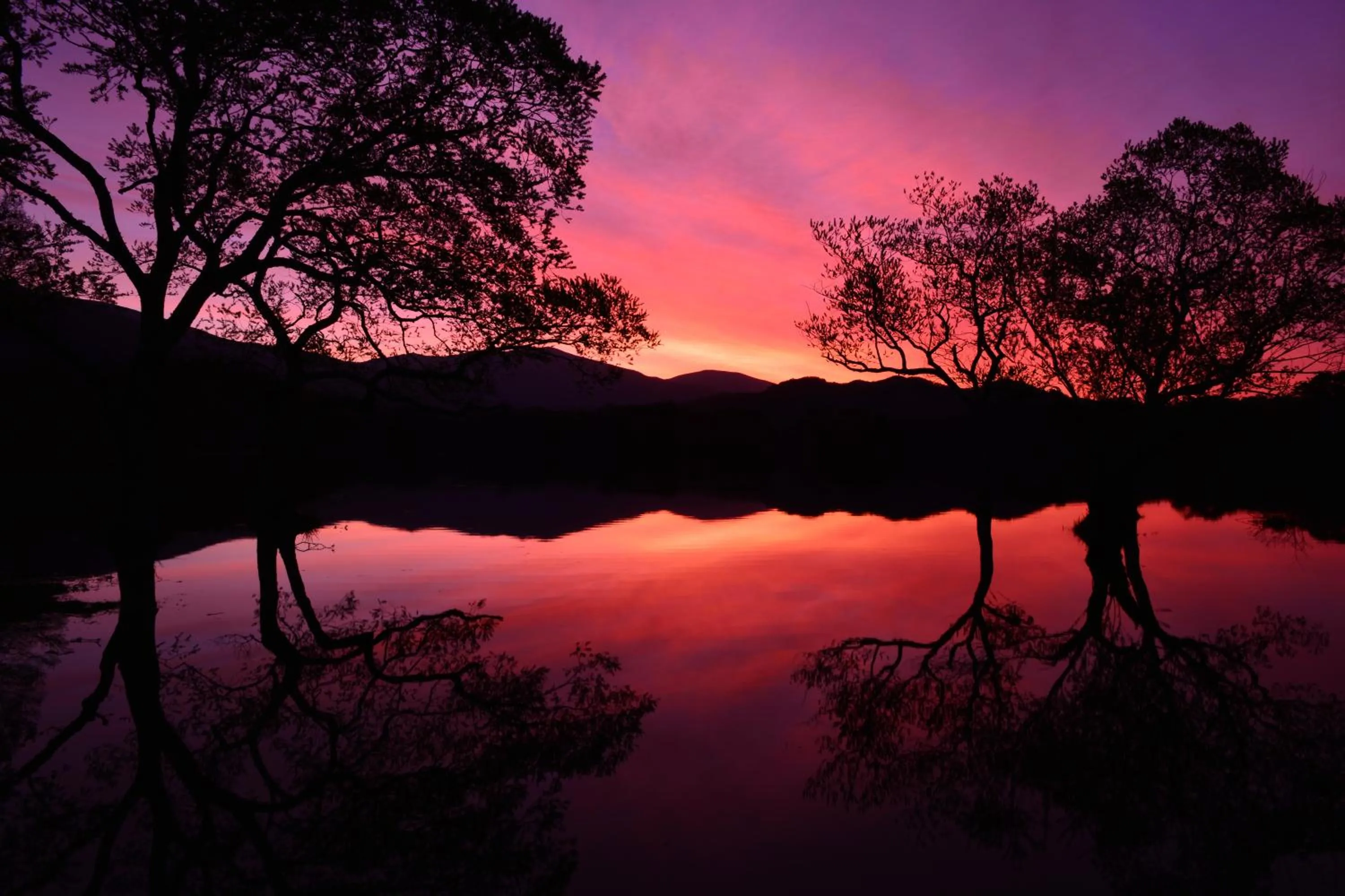 Country Inn Mori no Gorilla