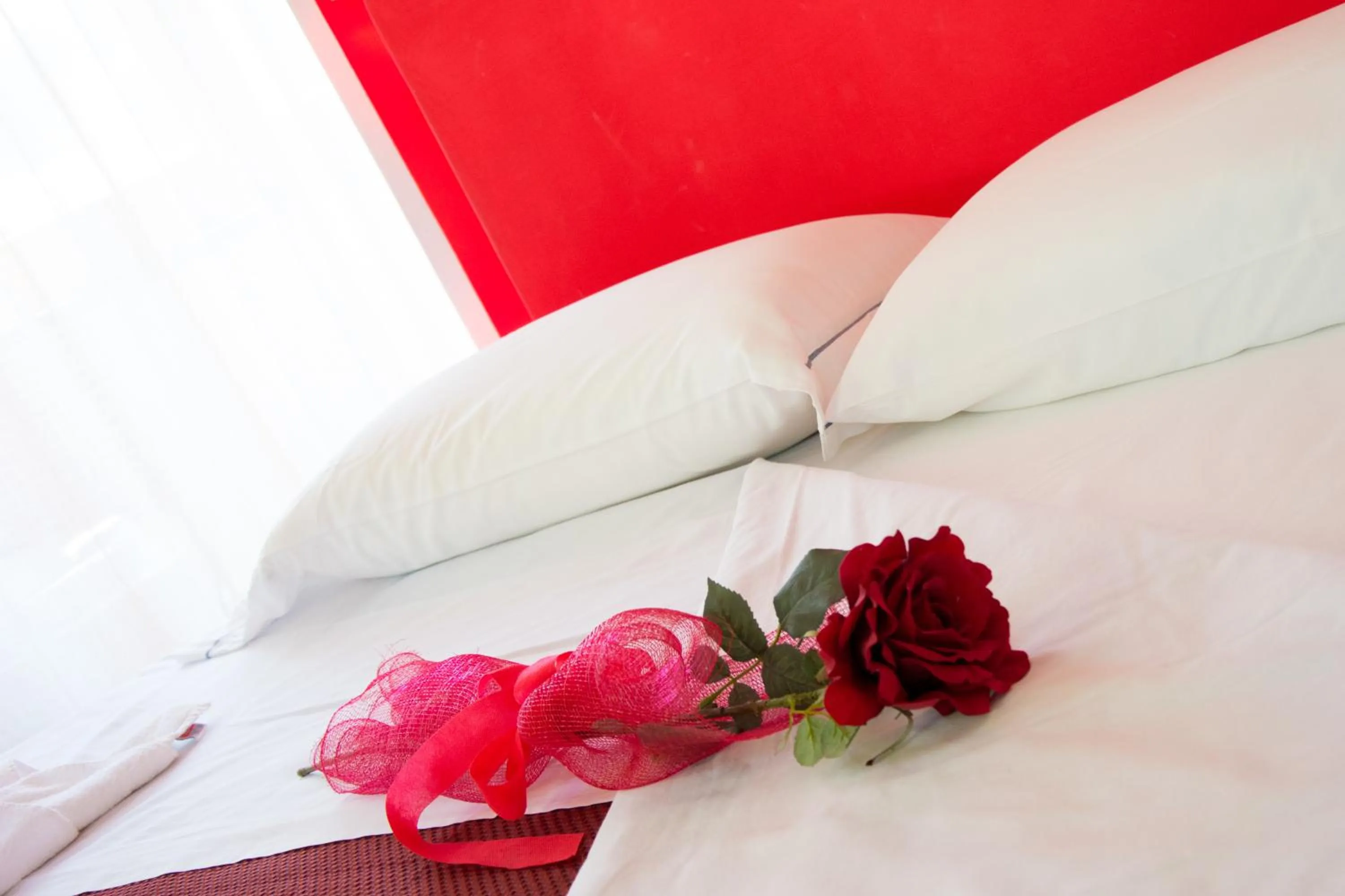 Bed in Minihotel IRIS