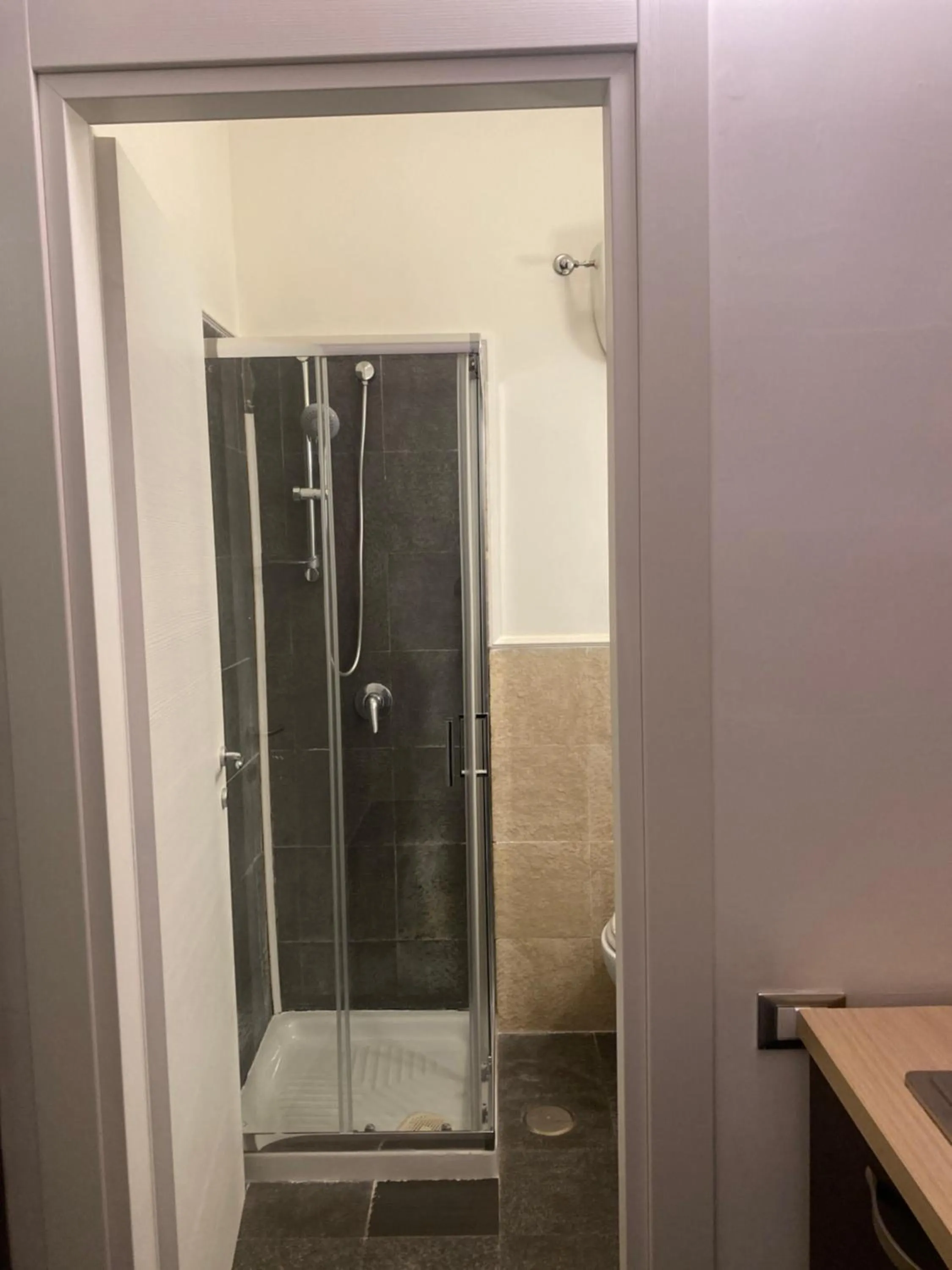 Shower in Hotel Plebiscito Aparthotel