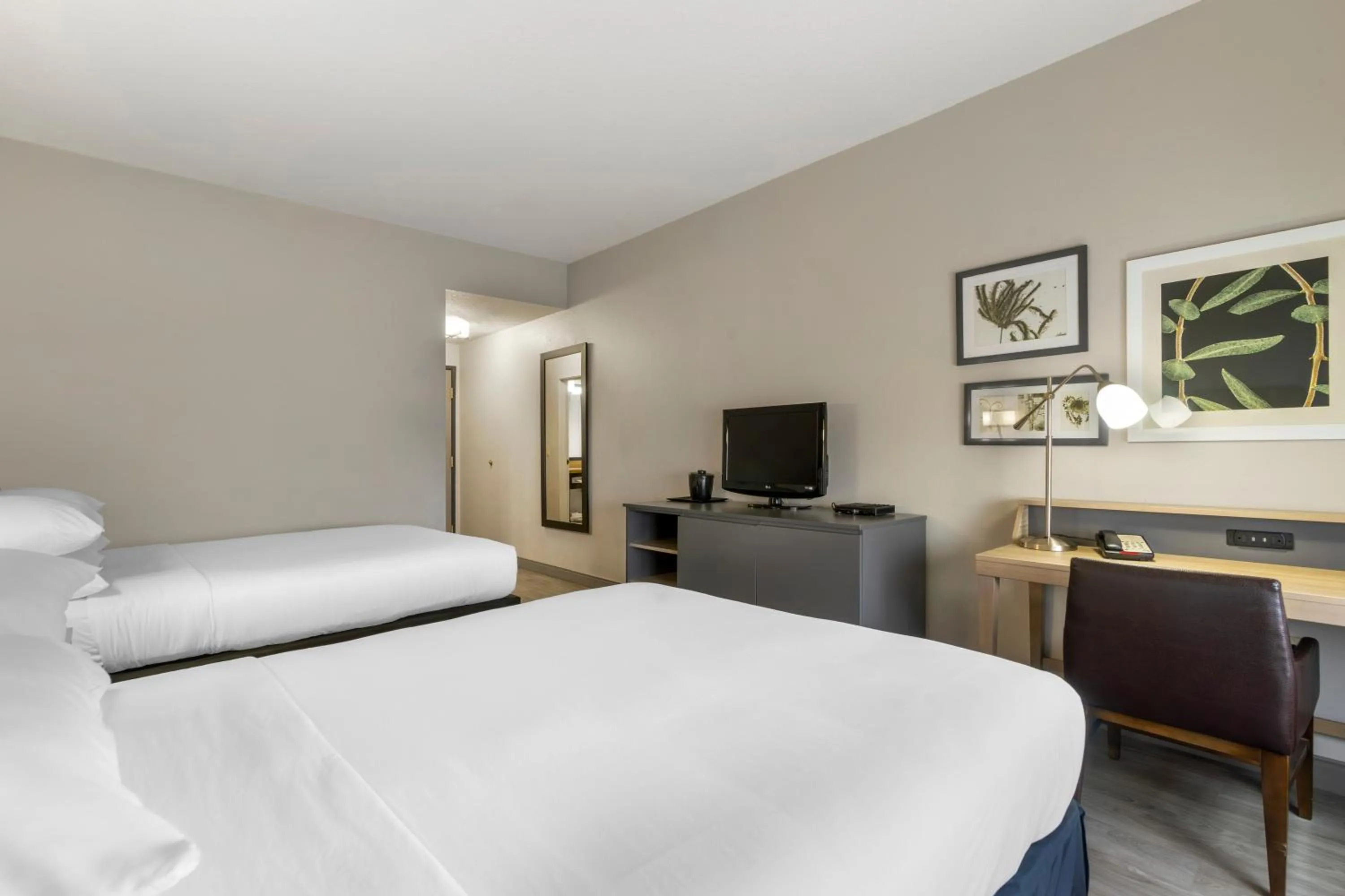 Bed in Country Inn & Suites by Radisson, Tampa Airport North, FL