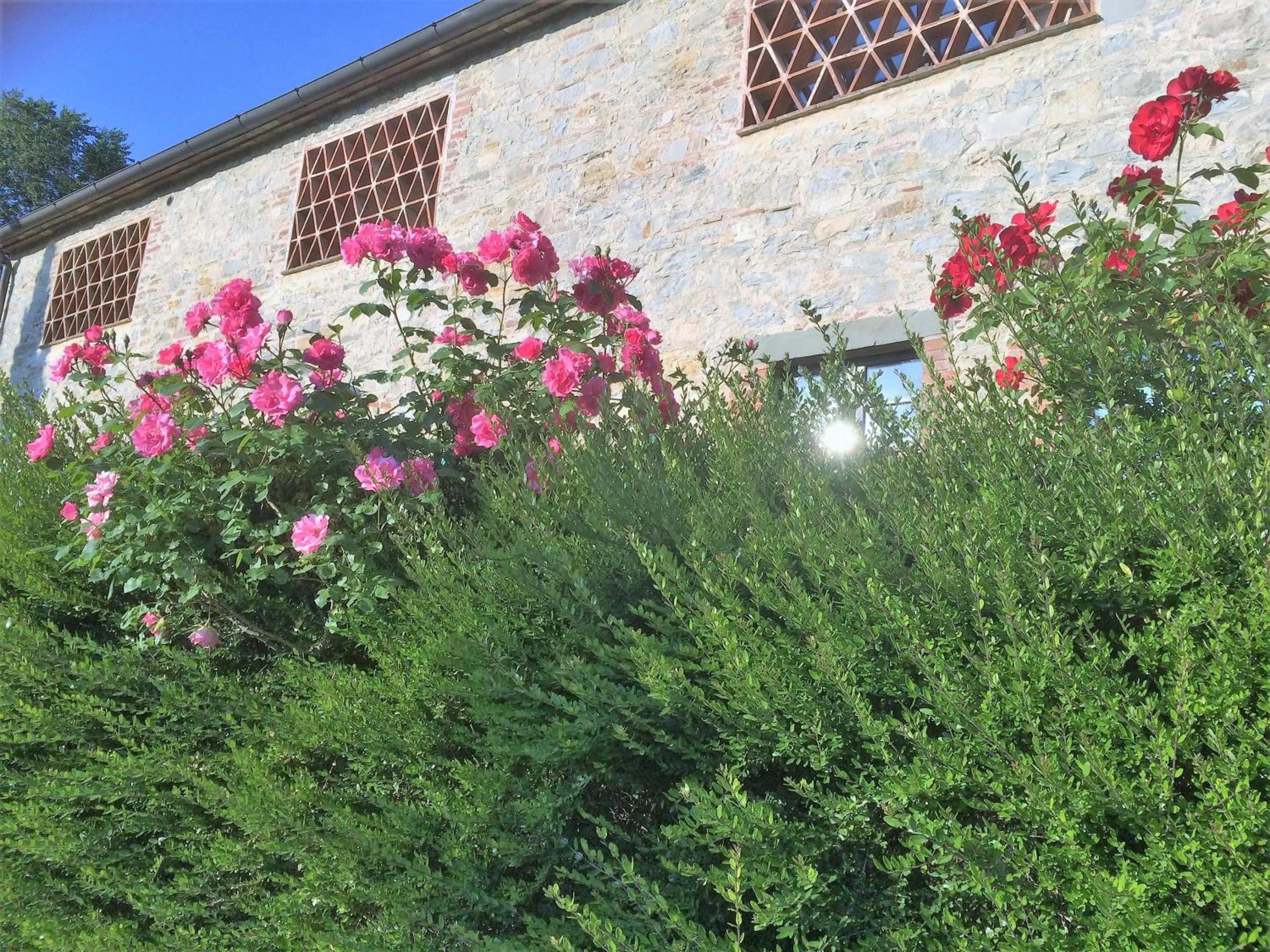 Garden in Residenzia Del Sogno