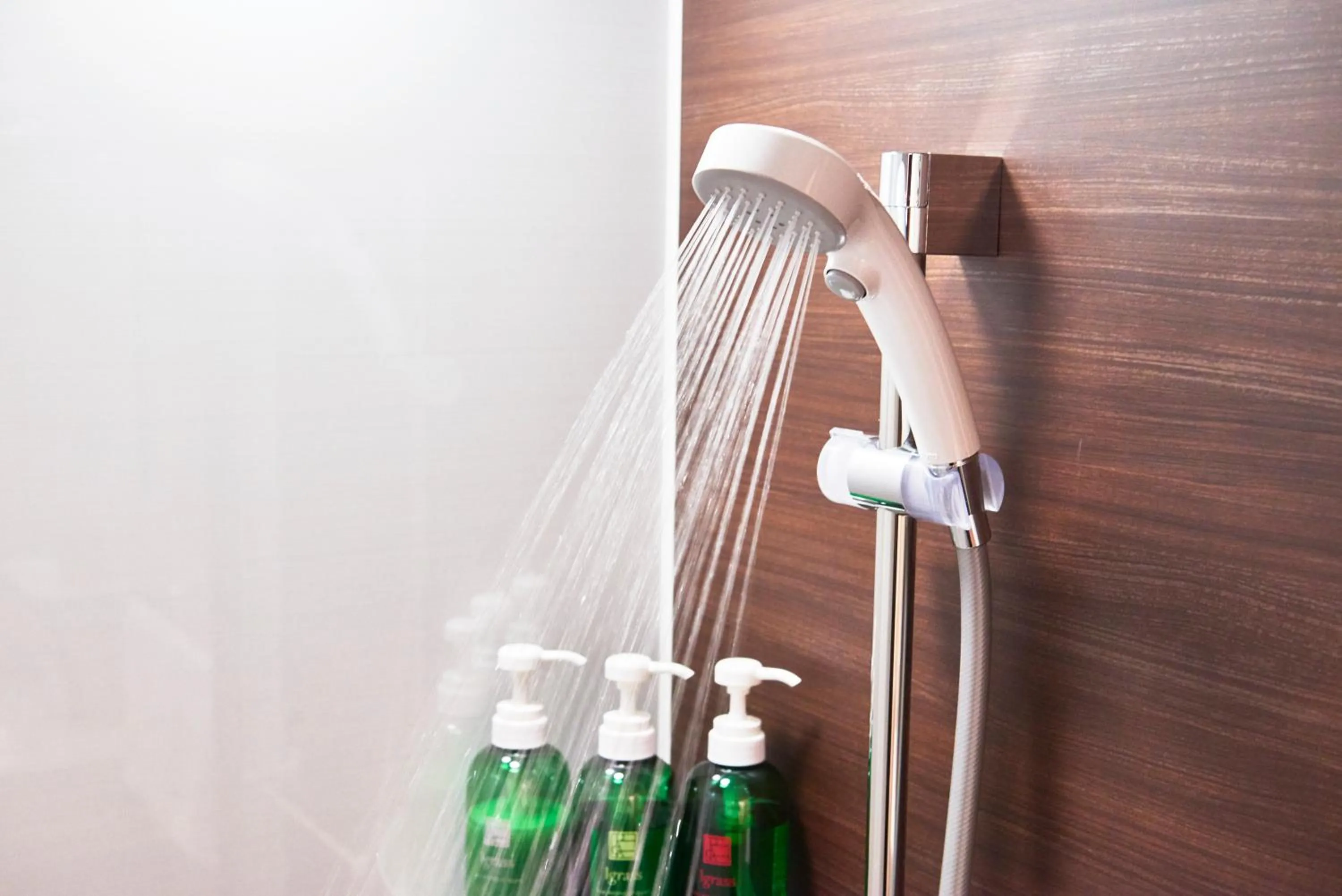 Photo of the whole room in Hotel KAN-RAKU Saitama Honjo-Waseda Hinoki No Yakata