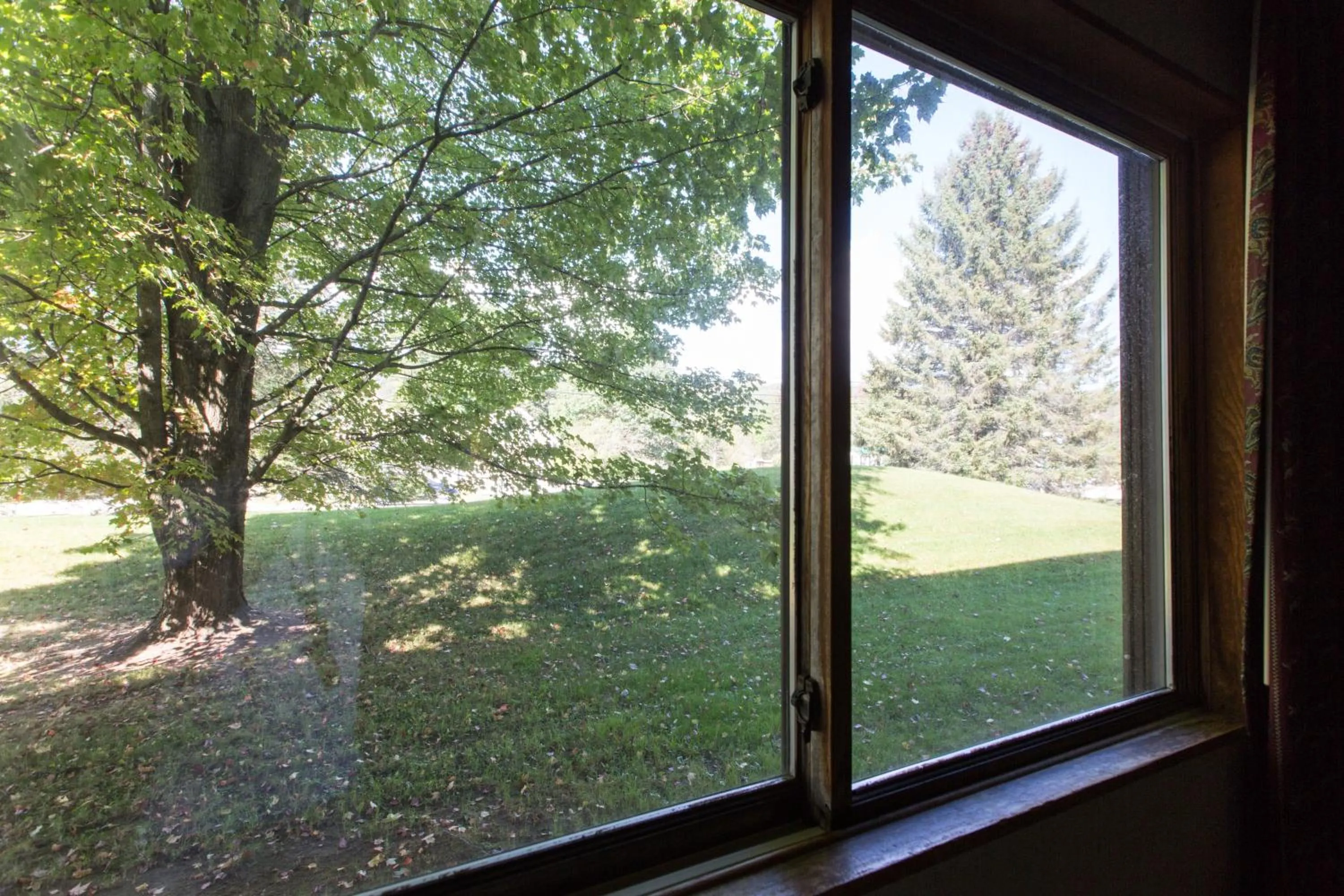 Garden view in Commodores Inn