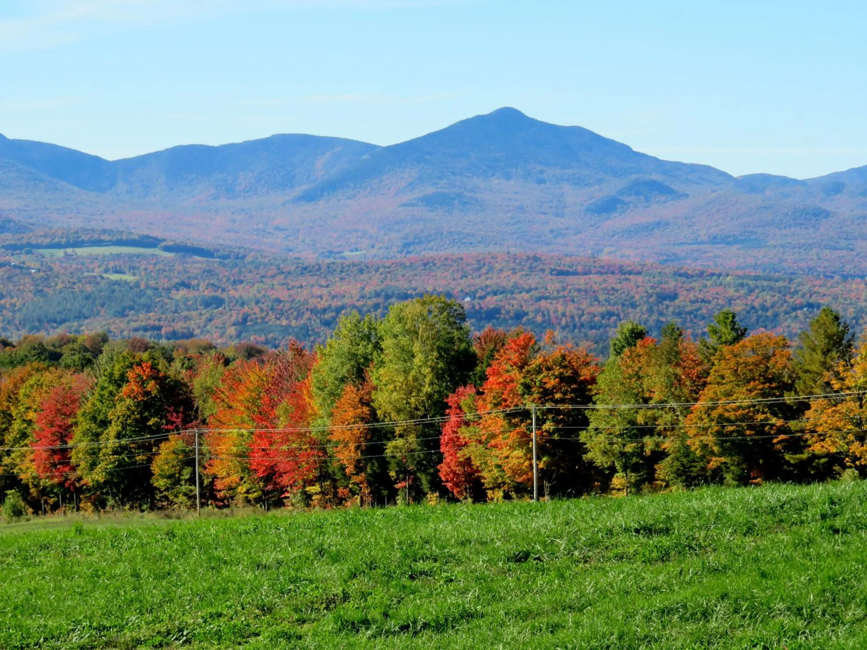 Natural landscape in Commodores Inn