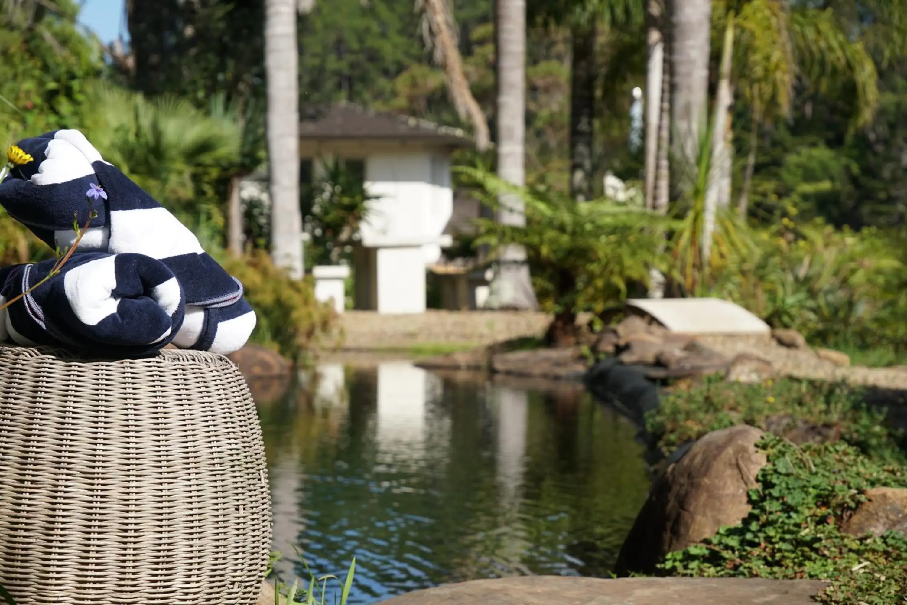 Spa and wellness centre/facilities in Avalon Resort Spa and wellness centre/facilities in Avalon Resort