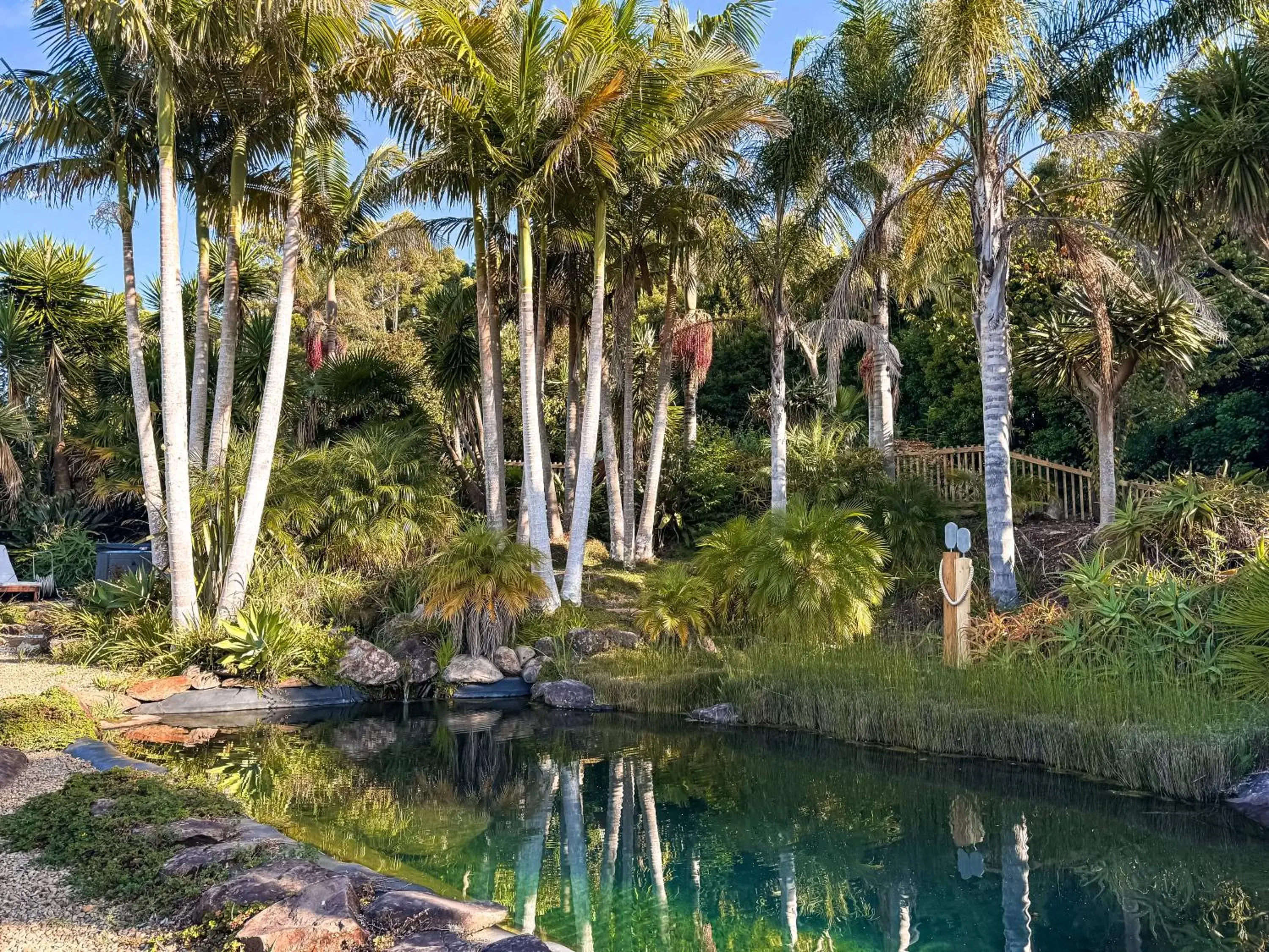 Pool view in Avalon Resort Pool view in Avalon Resort