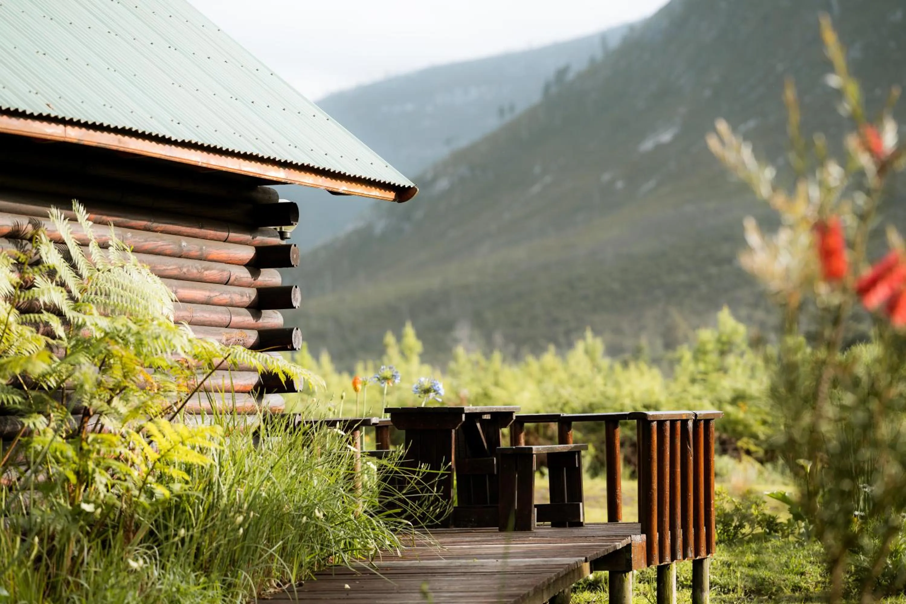 Tsitsikamma Lodge & Spa