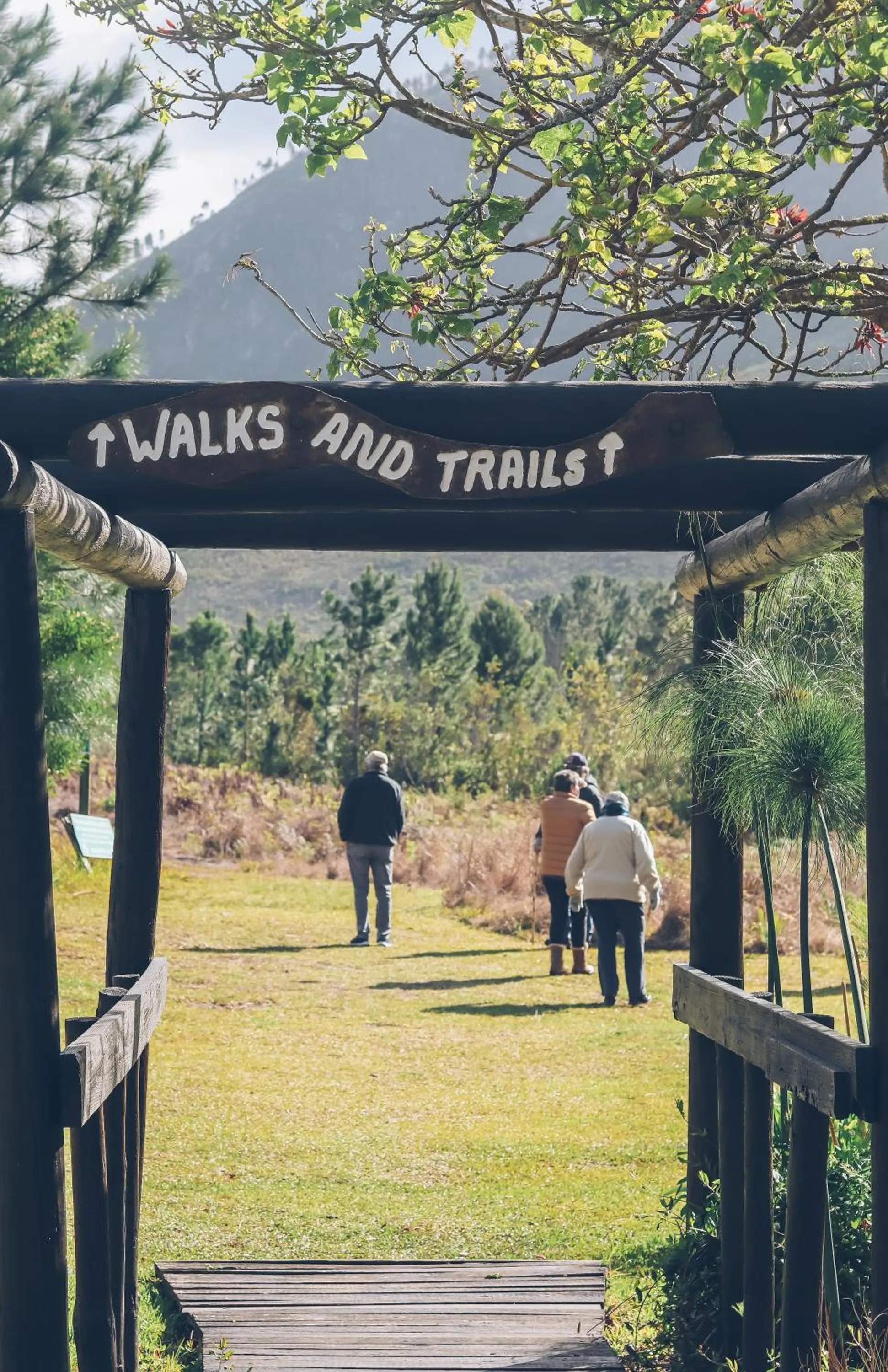 Hiking in Tsitsikamma Lodge & Spa