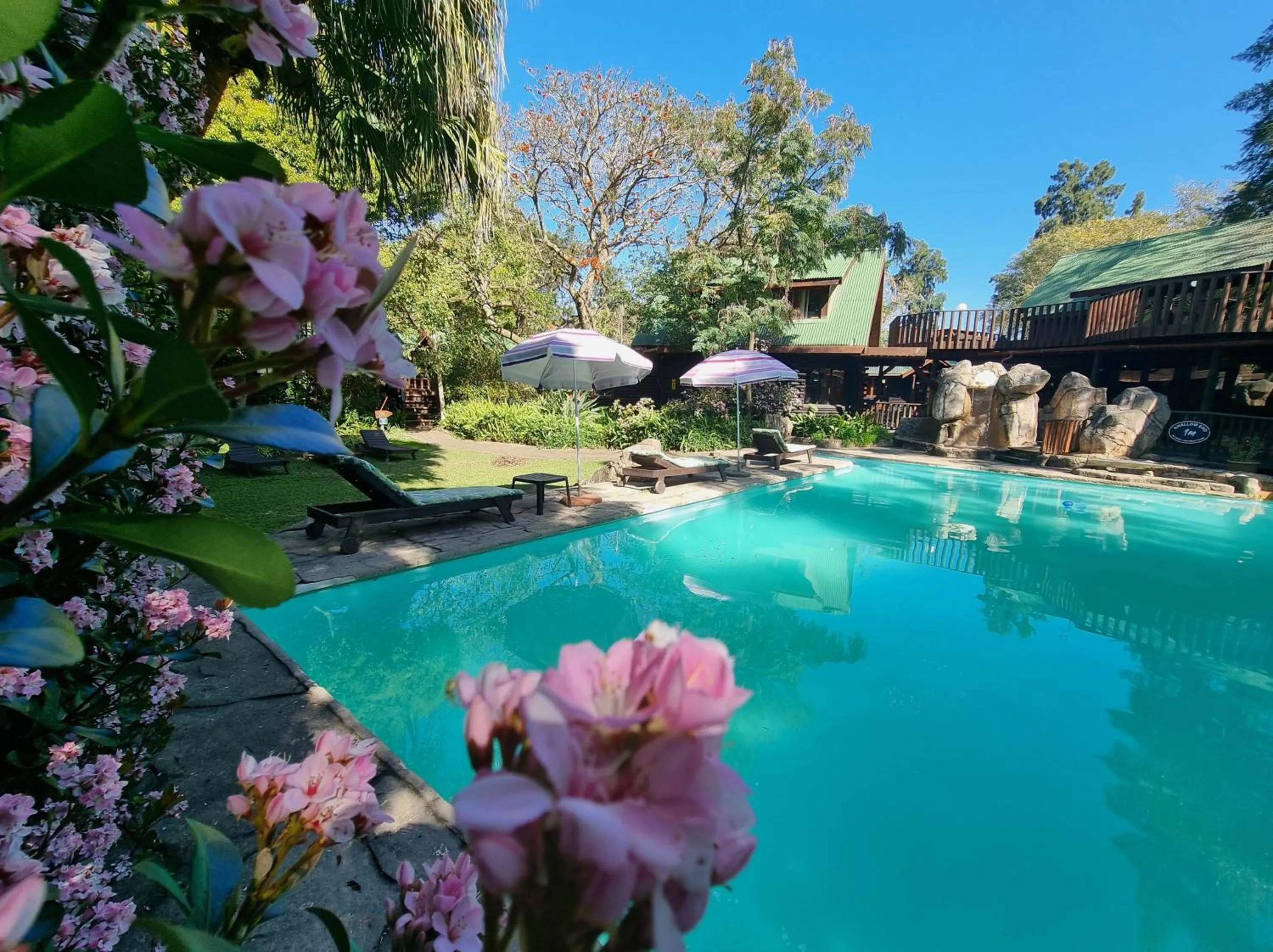 Swimming pool in Tsitsikamma Lodge & Spa