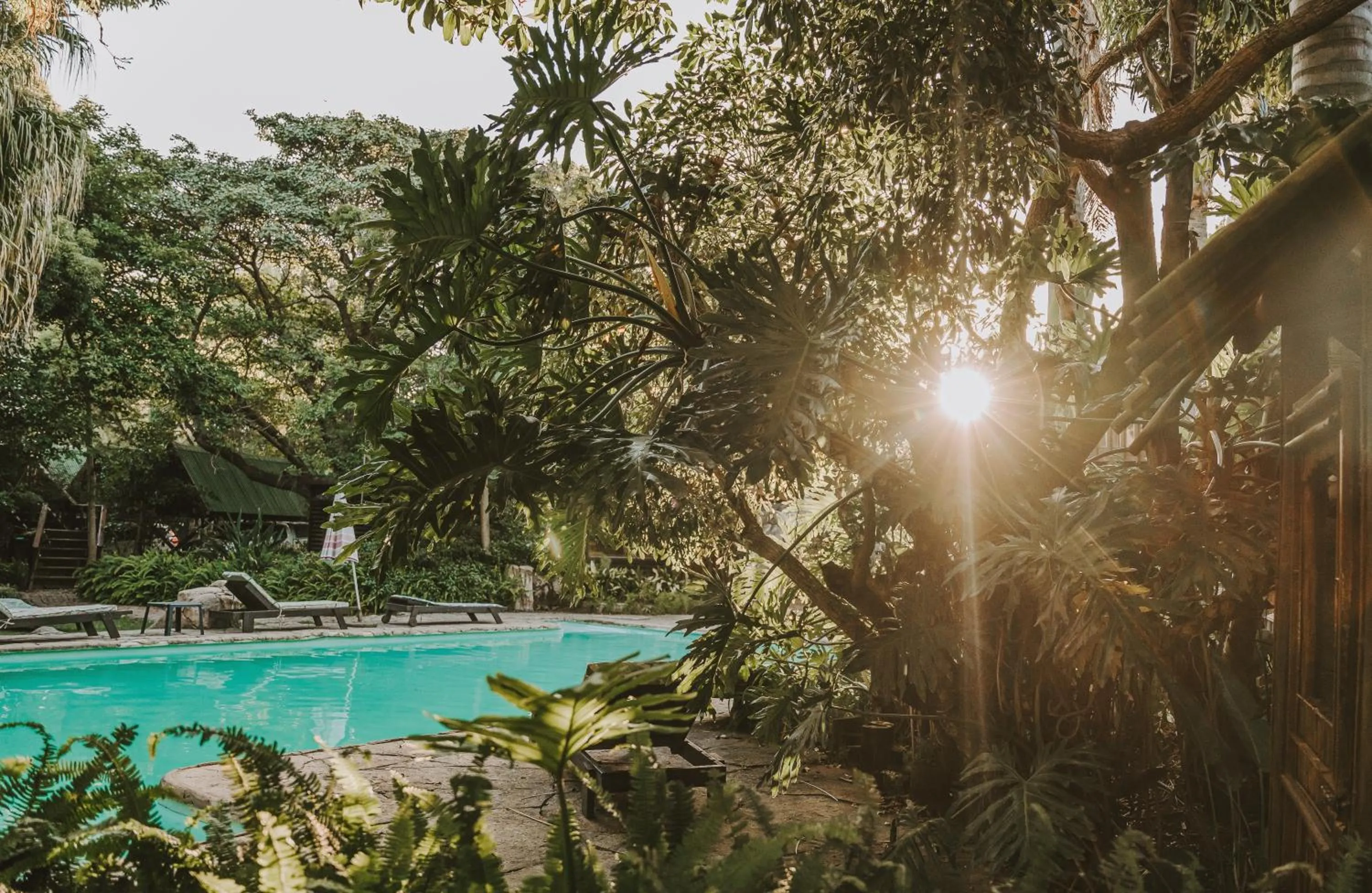 Swimming pool in Tsitsikamma Lodge & Spa