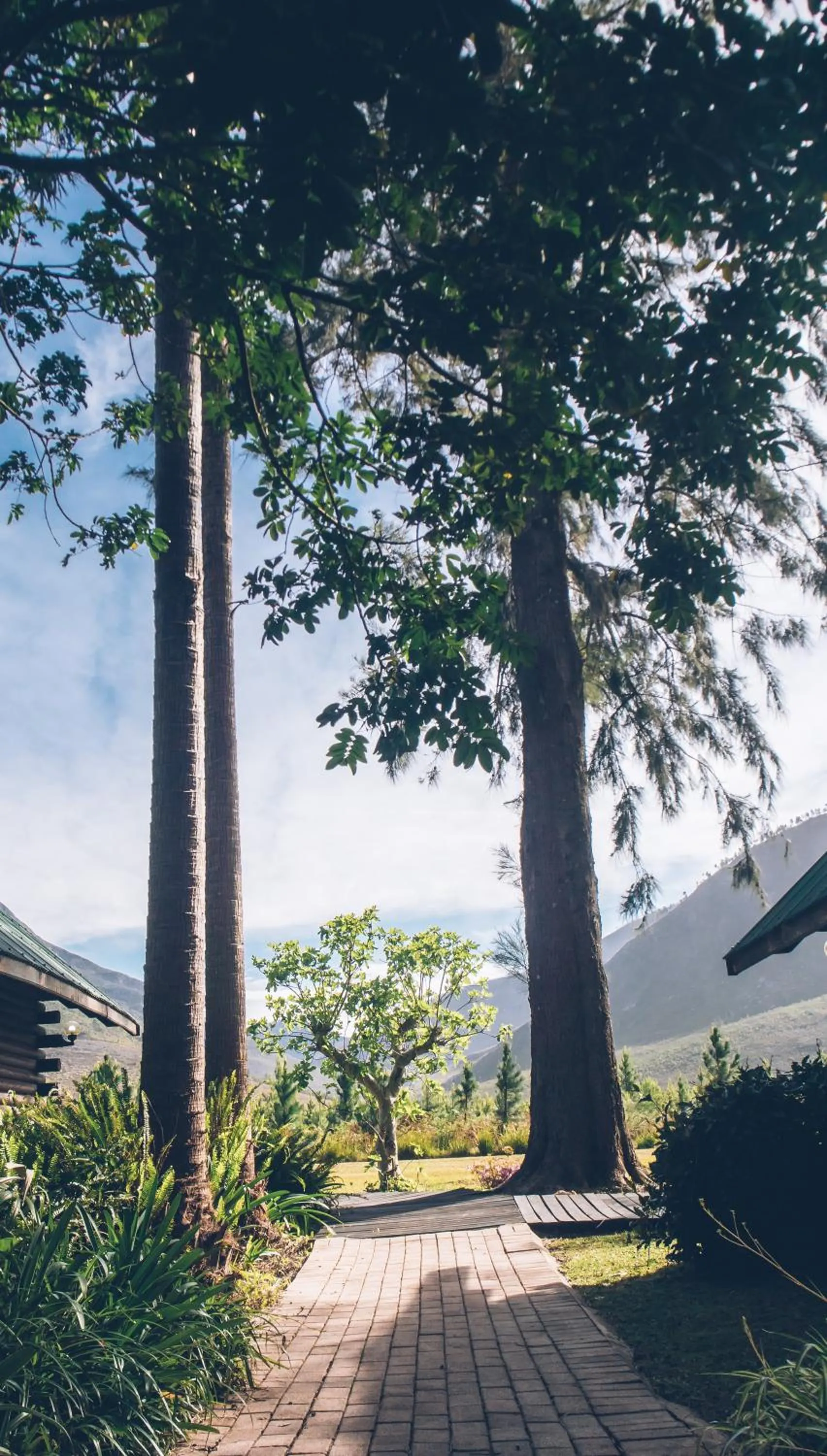 Property building in Tsitsikamma Lodge & Spa