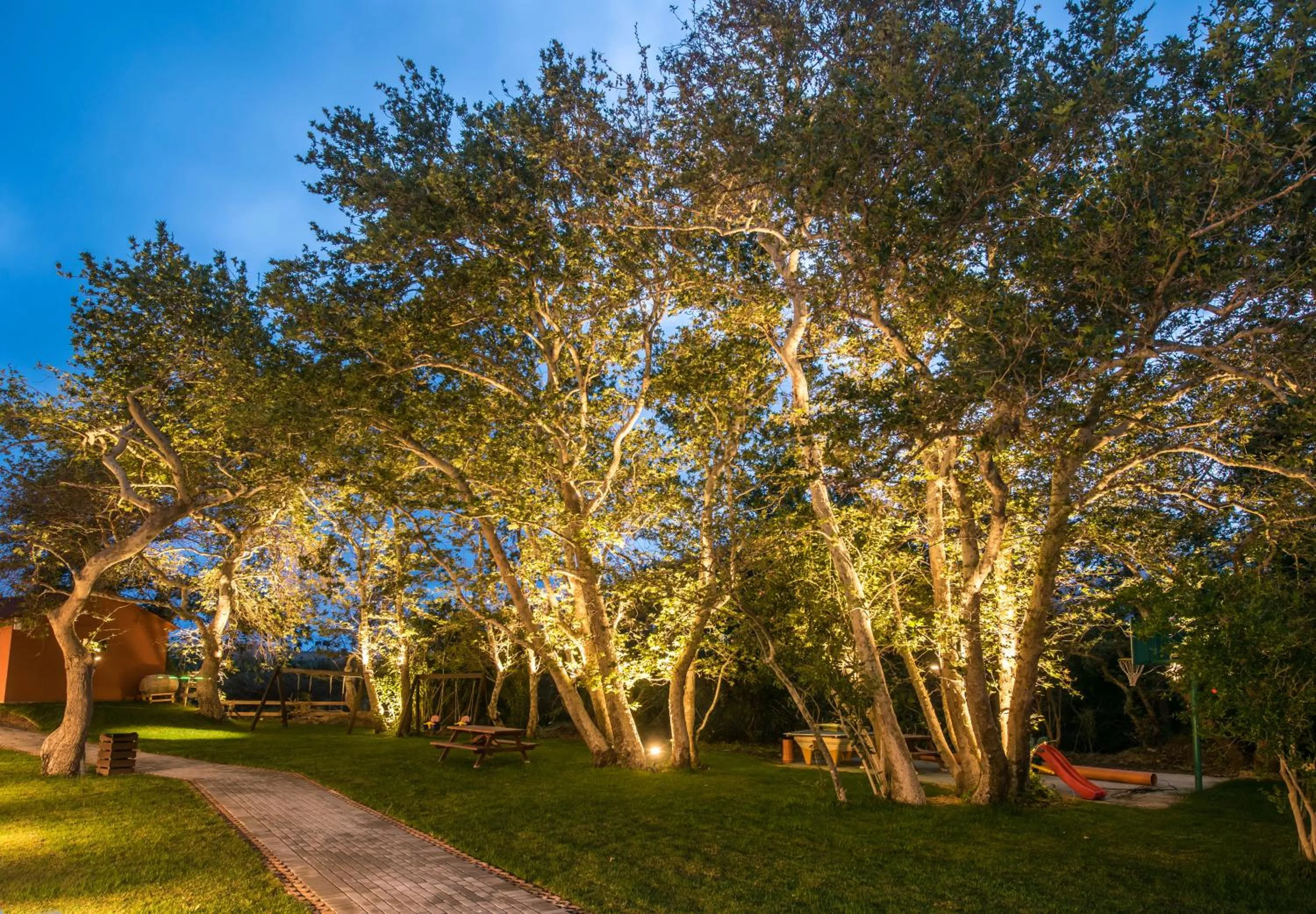 Garden in South Coast Hotel