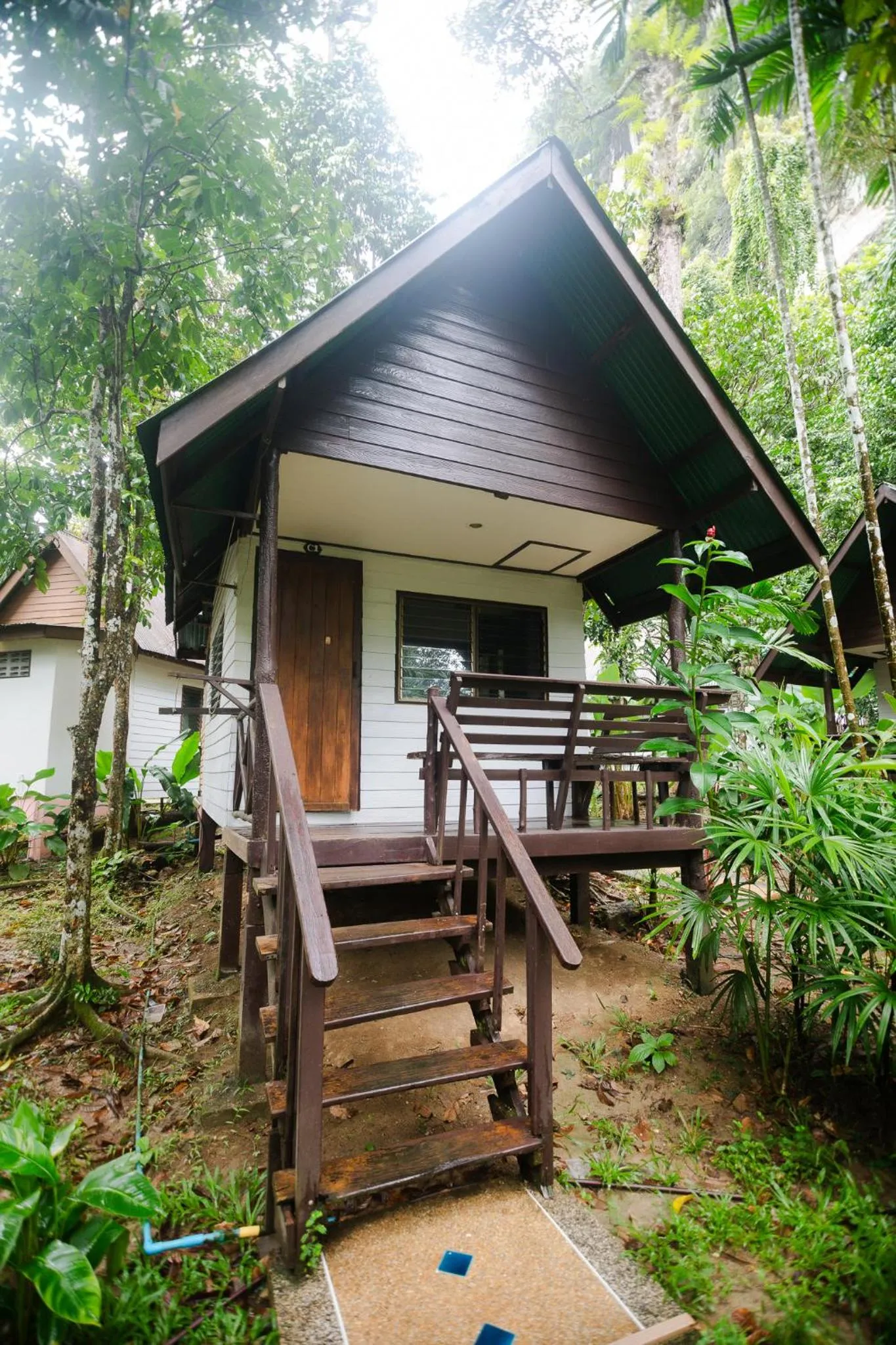 The Vatika Resort and Spa