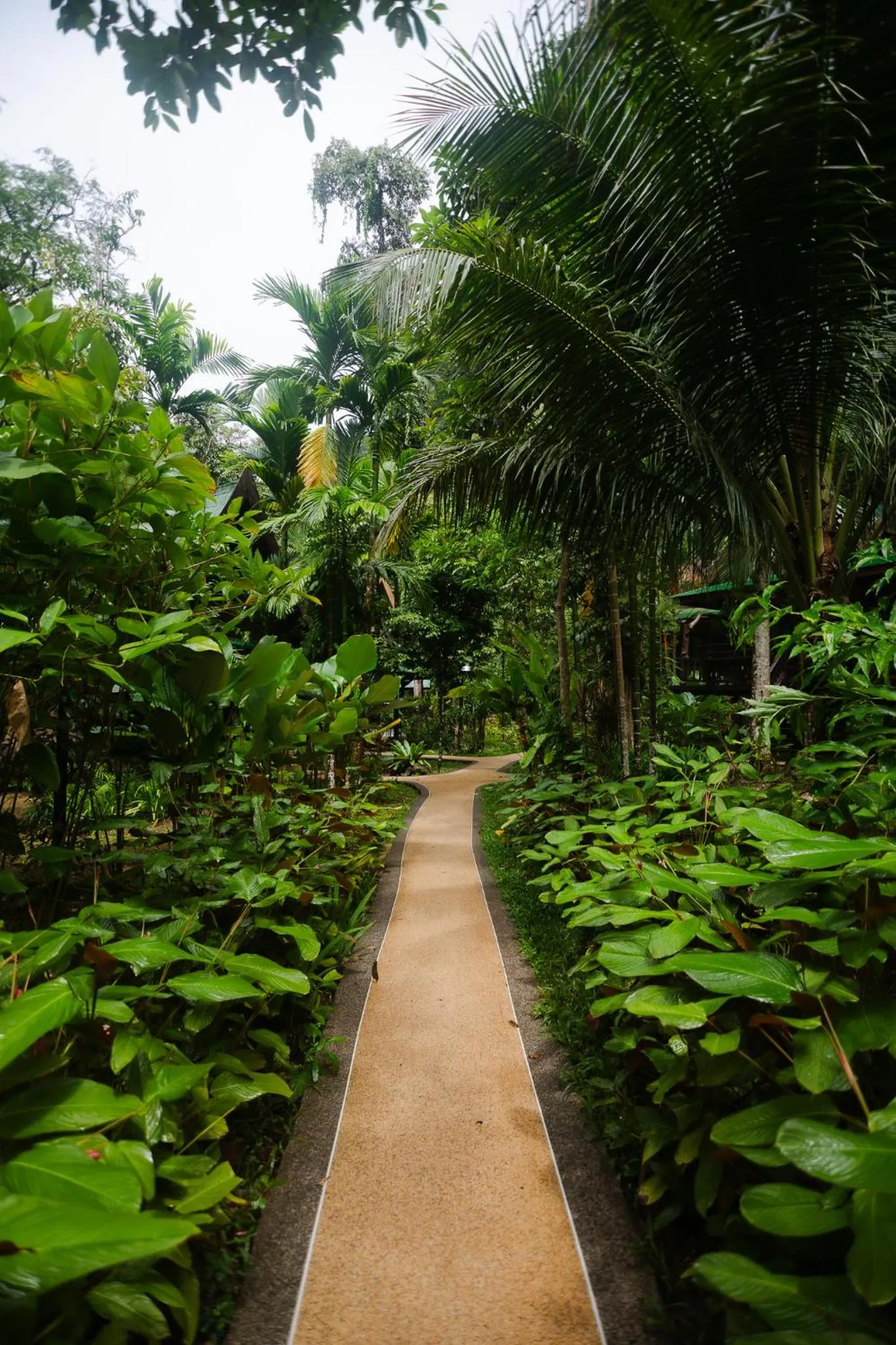 The Vatika Resort and Spa