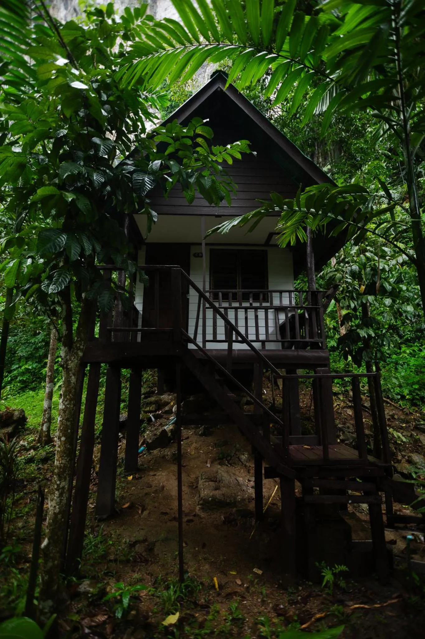 The Vatika Resort and Spa