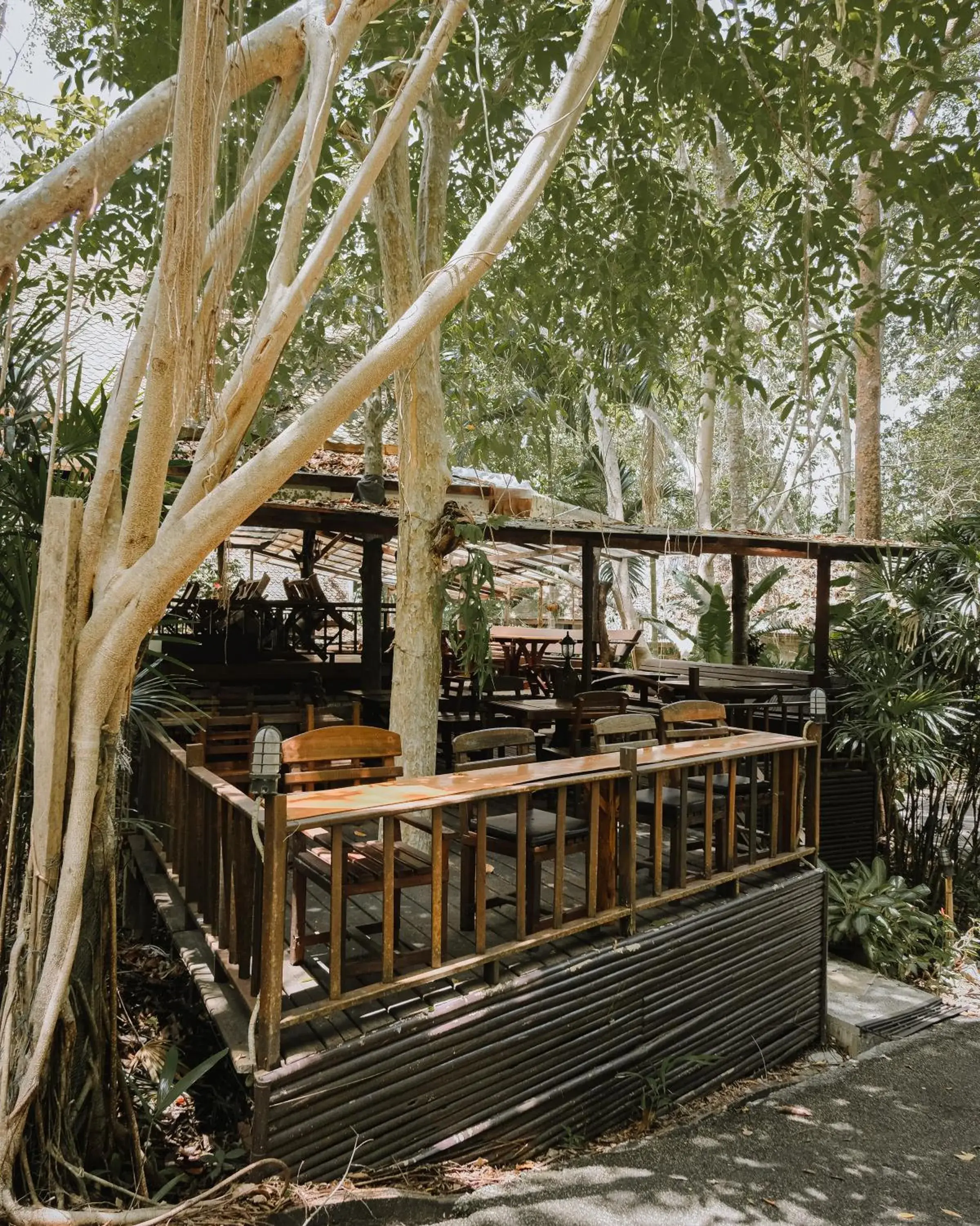 Restaurant/places to eat in The Vatika Resort and Spa Restaurant/places to eat in The Vatika Resort and Spa