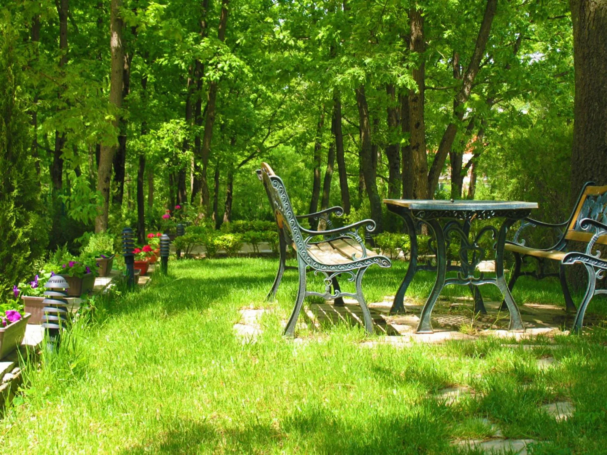 Area and facilities in Sunrise Hotel