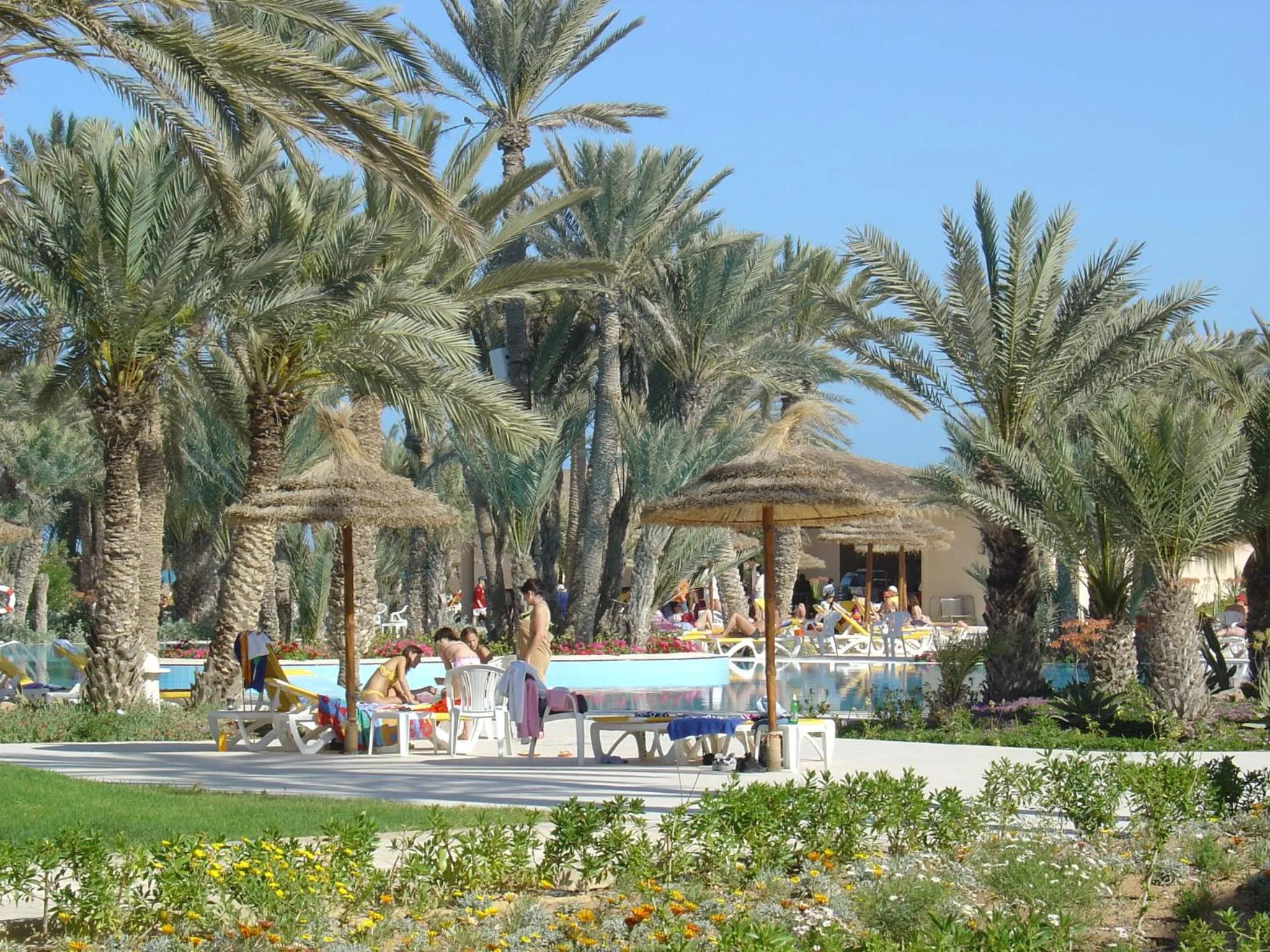 Garden in Zita Beach Resort