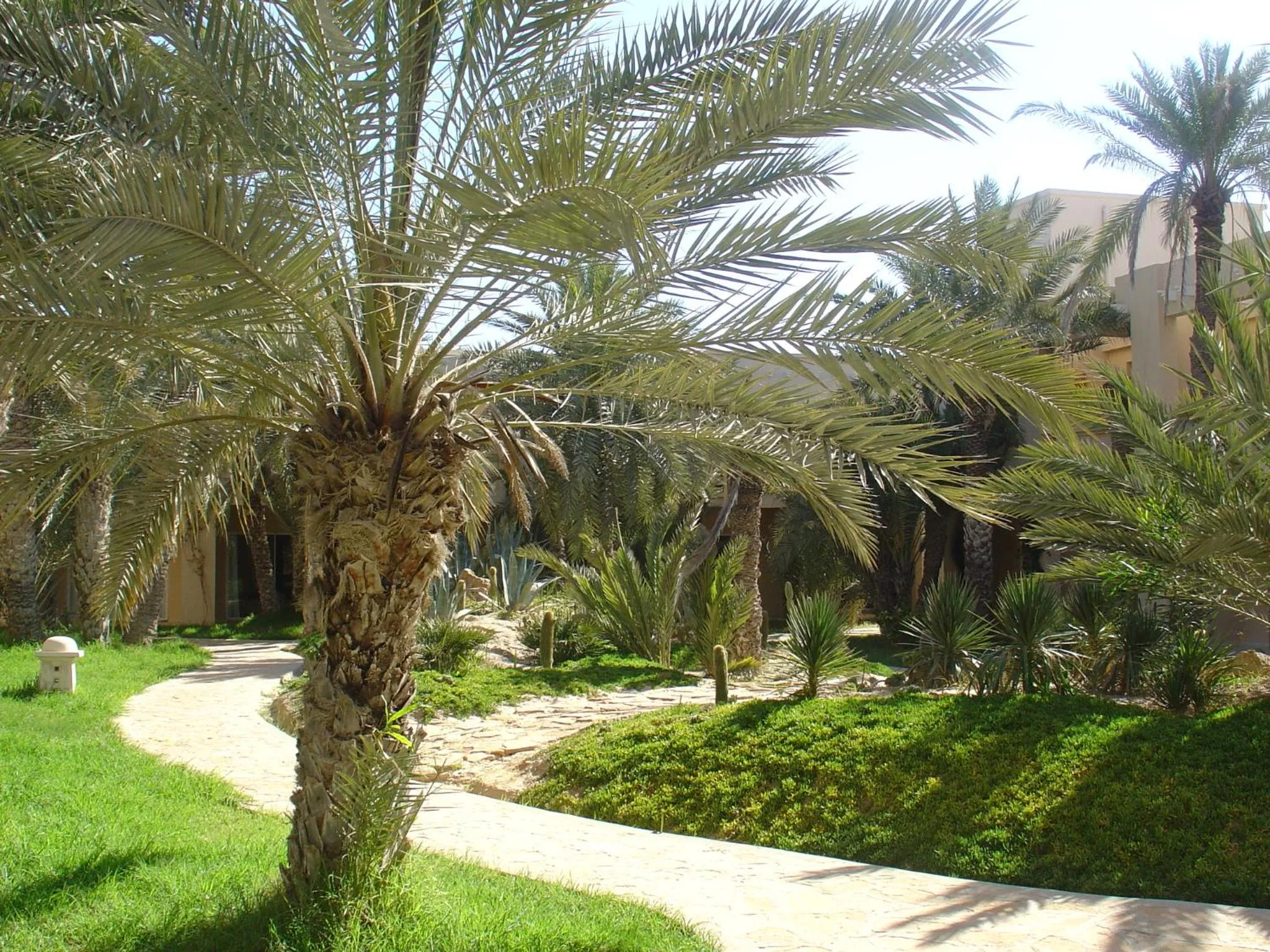 Garden in Zita Beach Resort