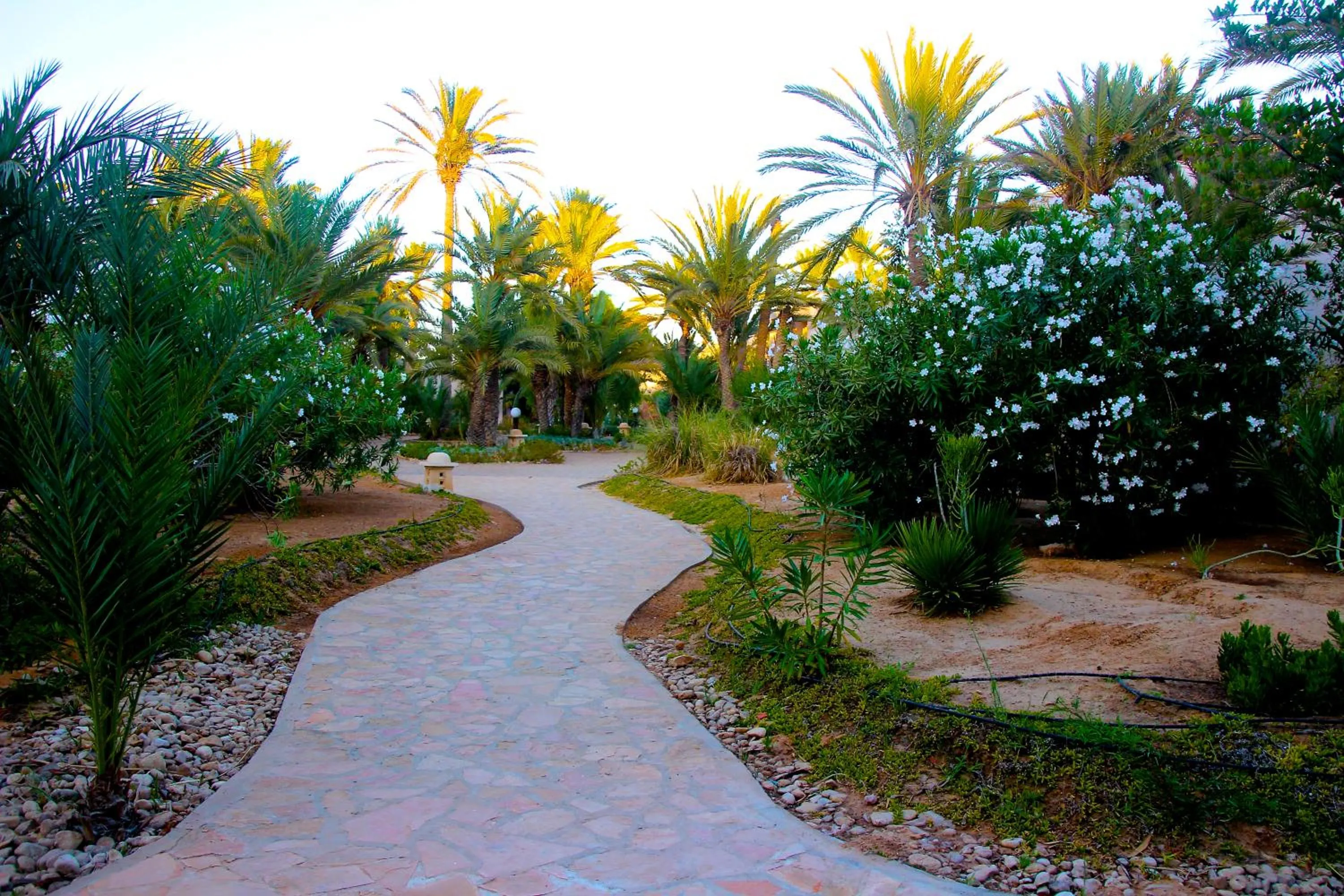 Garden in Zita Beach Resort