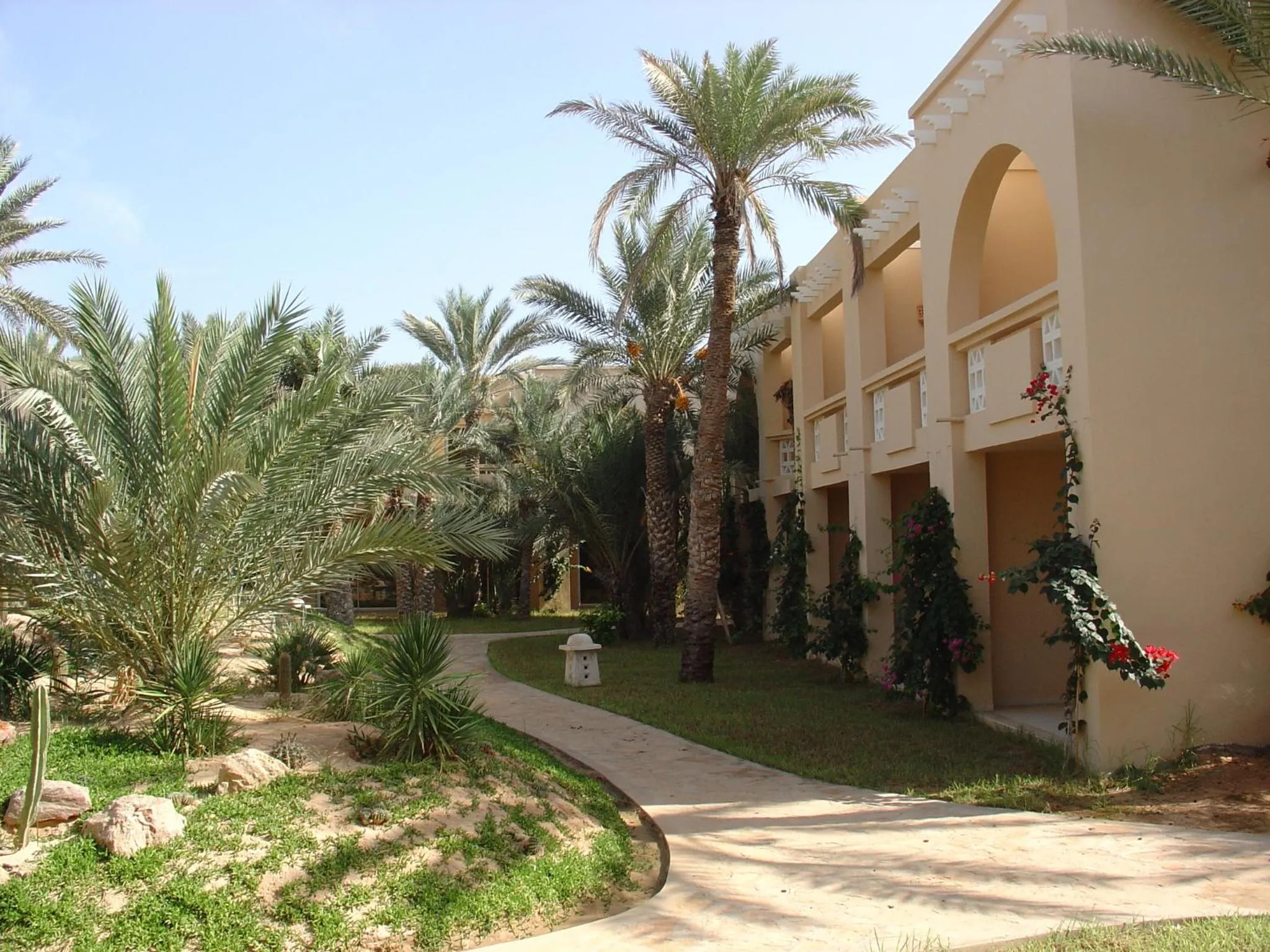 Garden in Zita Beach Resort