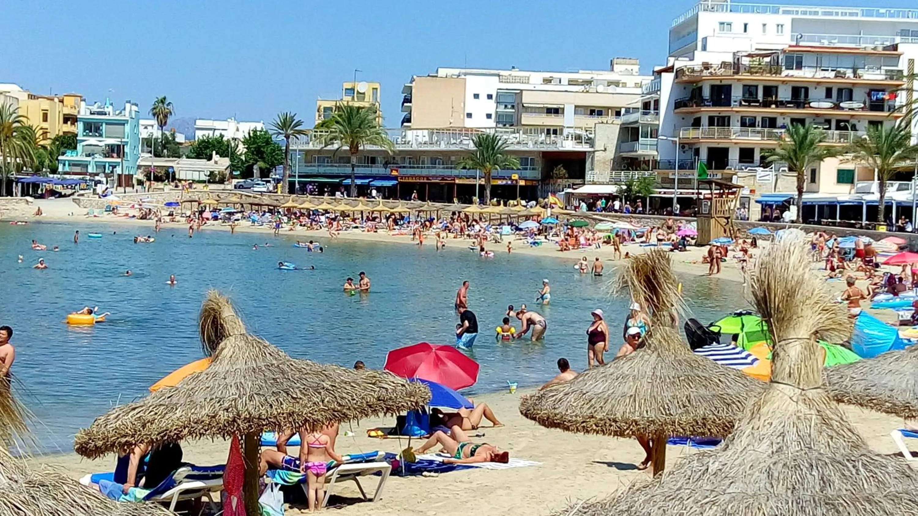 Beach in Hotel Bari