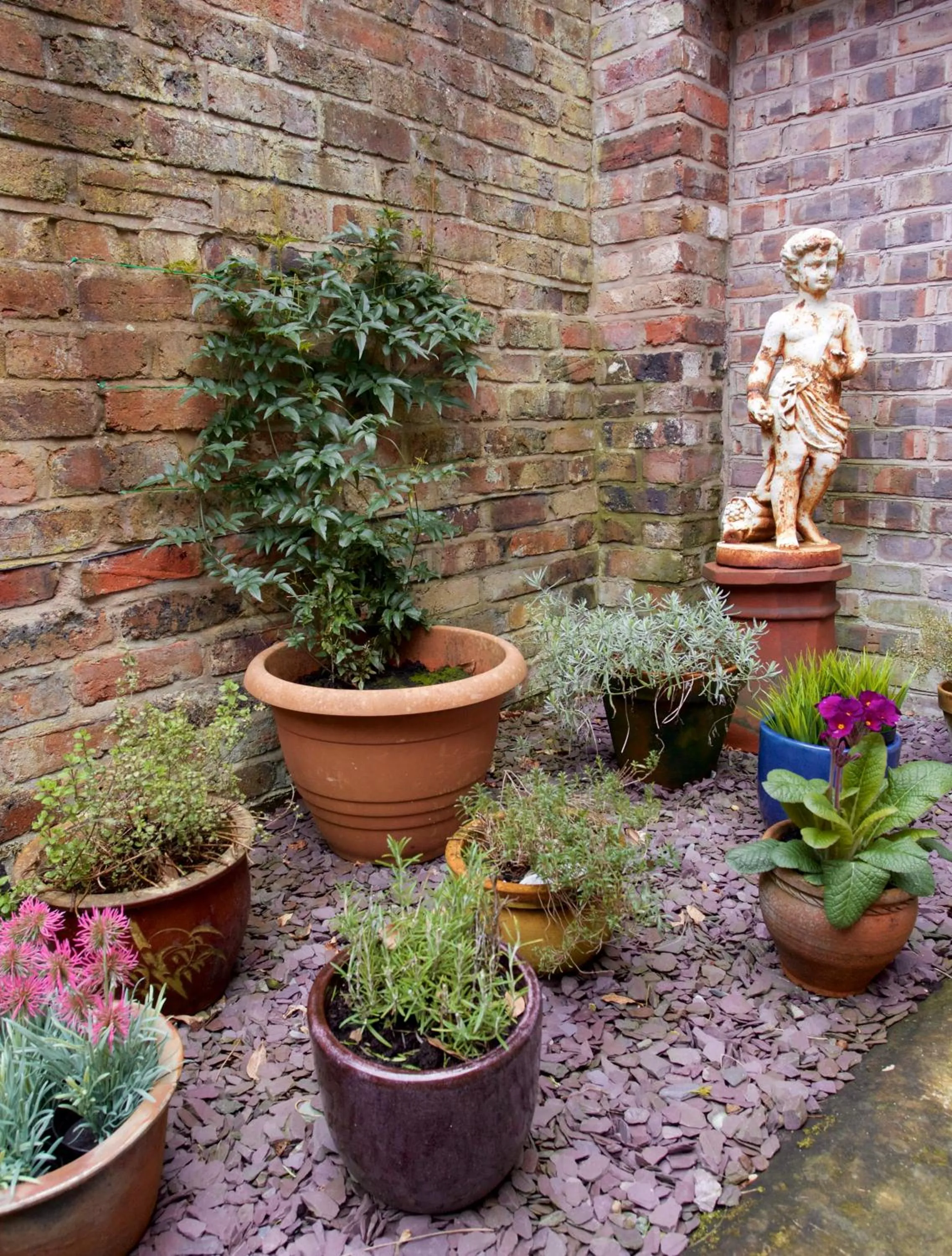 The Library House B&B