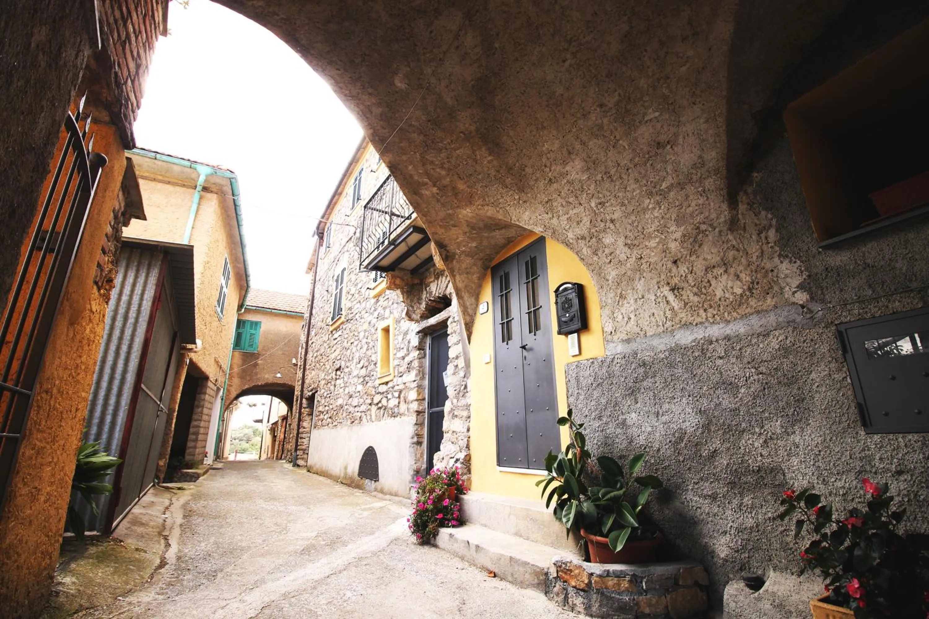 Agriturismo IL POGGIO DI VASIA CITR00864-AGR-0001