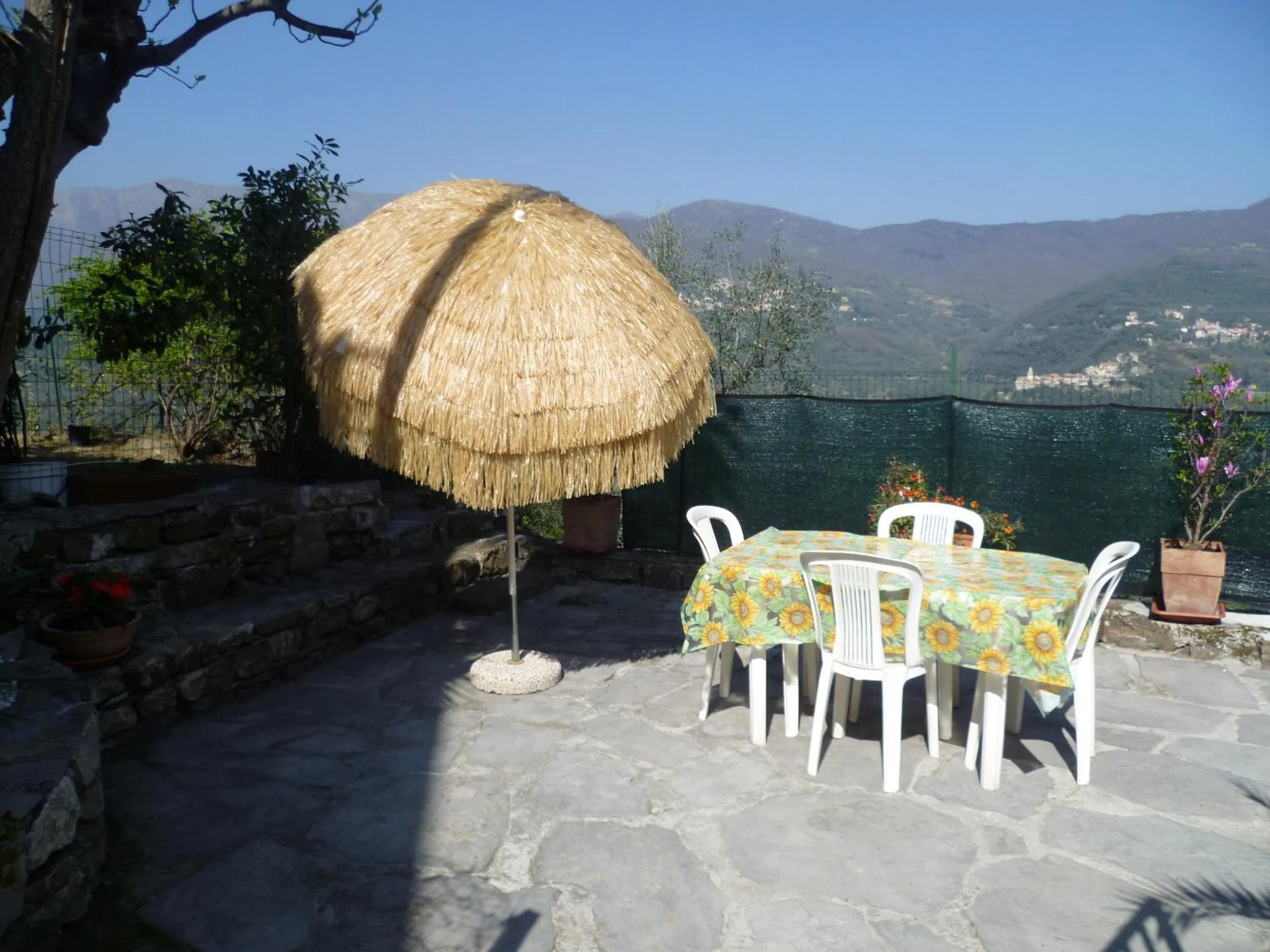 Agriturismo IL POGGIO DI VASIA CITR00864-AGR-0001