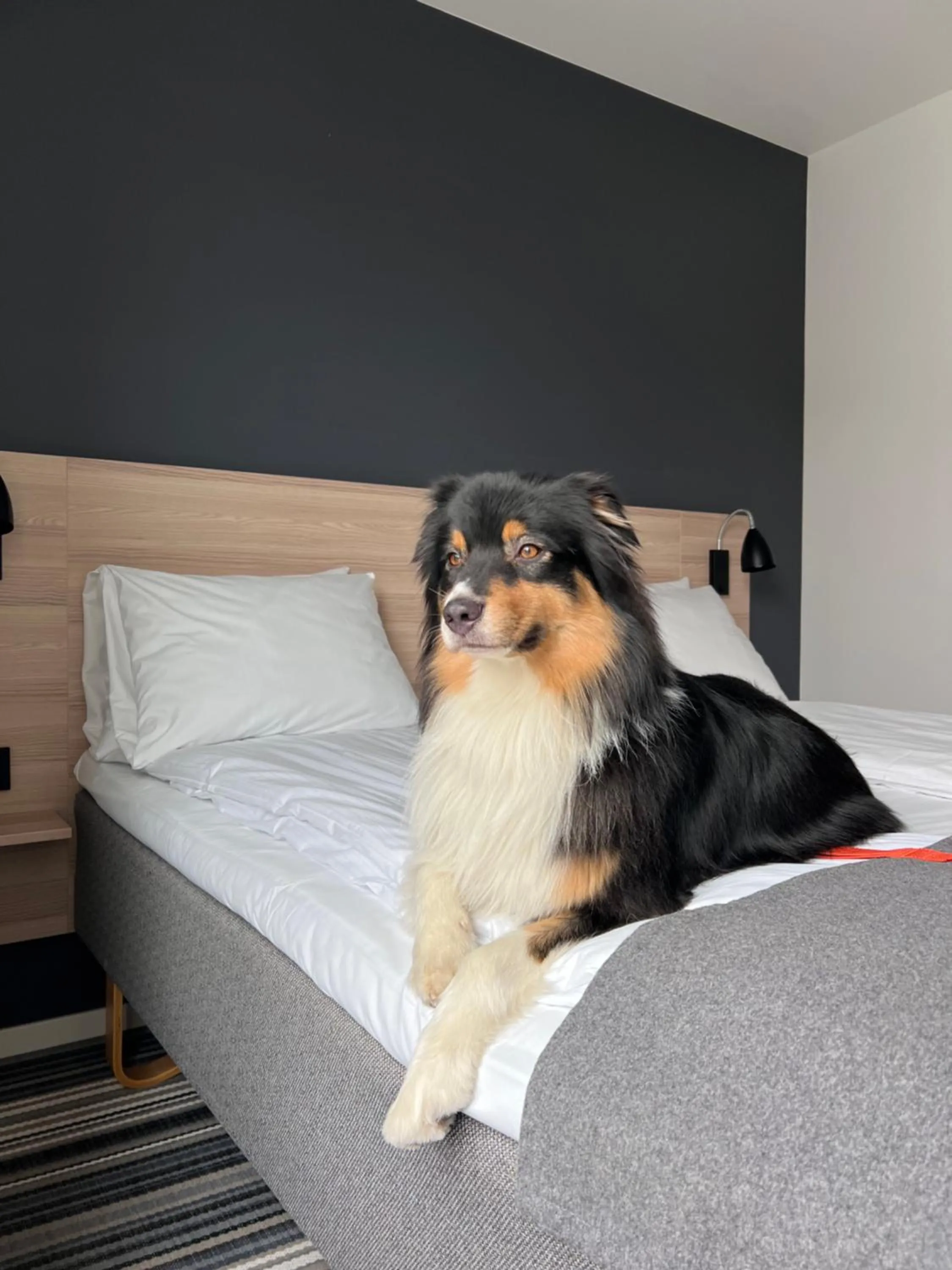 Bed in Citybox Bergen City