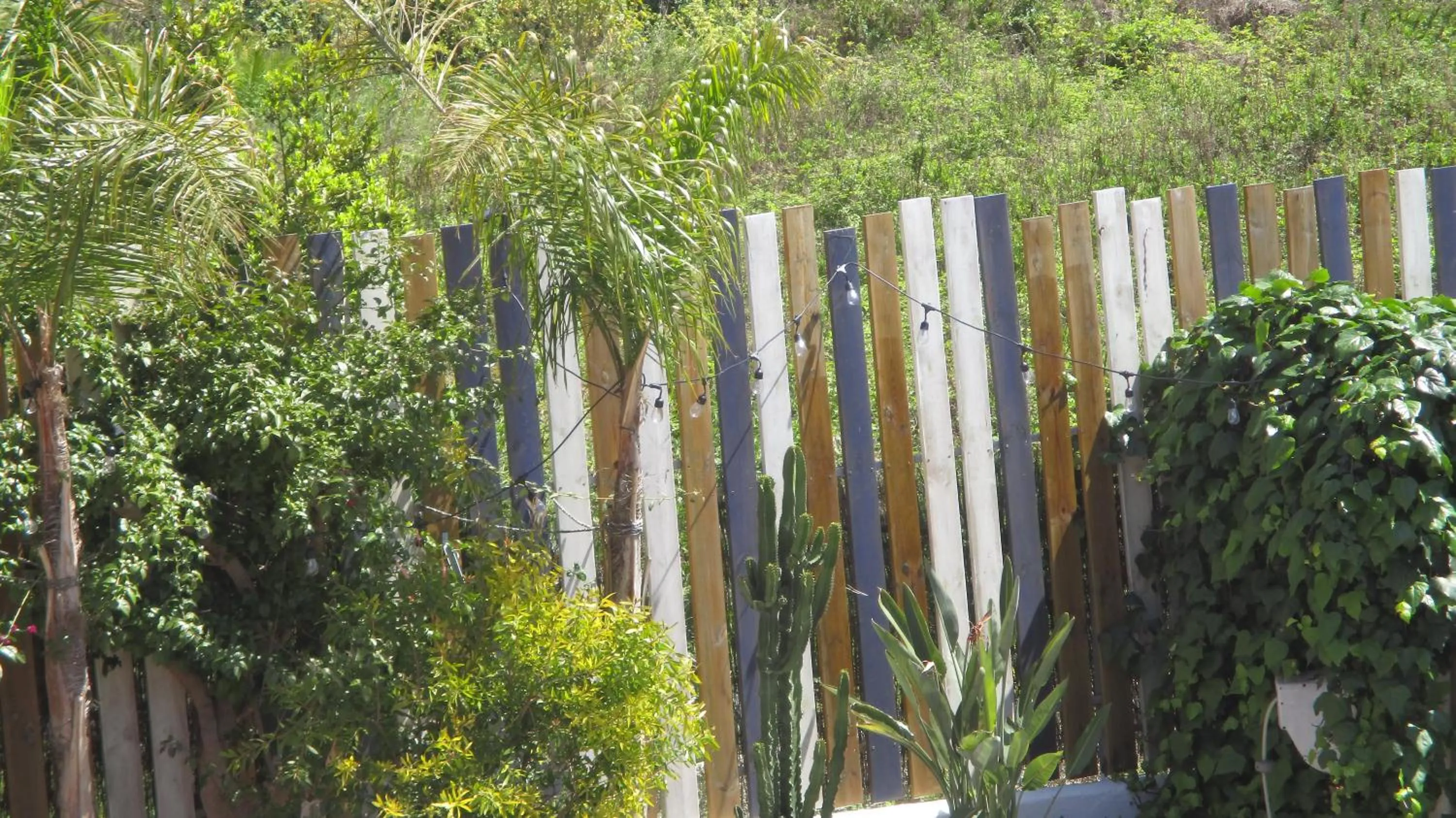Garden in Hôtel La Villa Patricia - Charme et Tradition