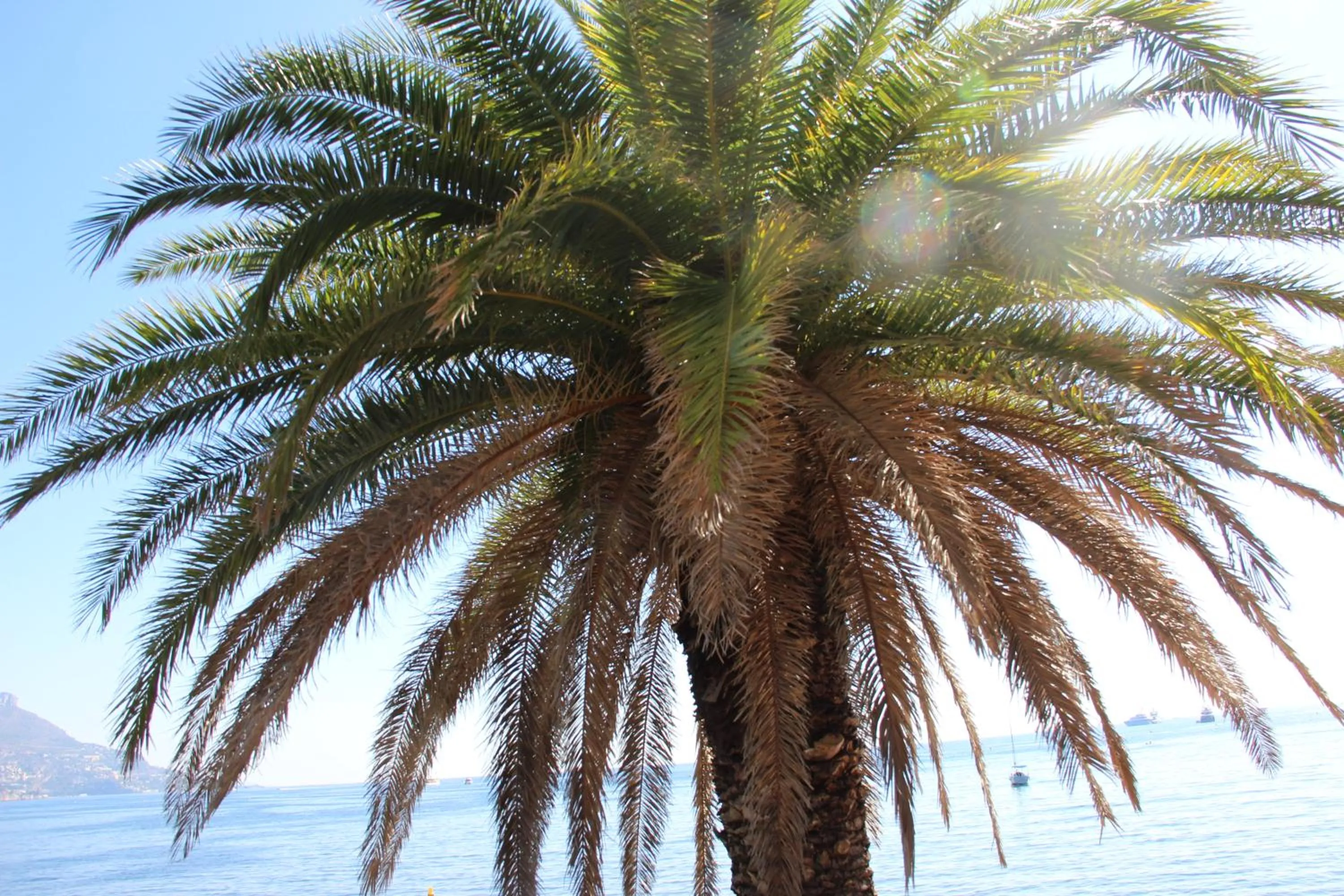 Hôtel La Villa Patricia - Charme et Tradition