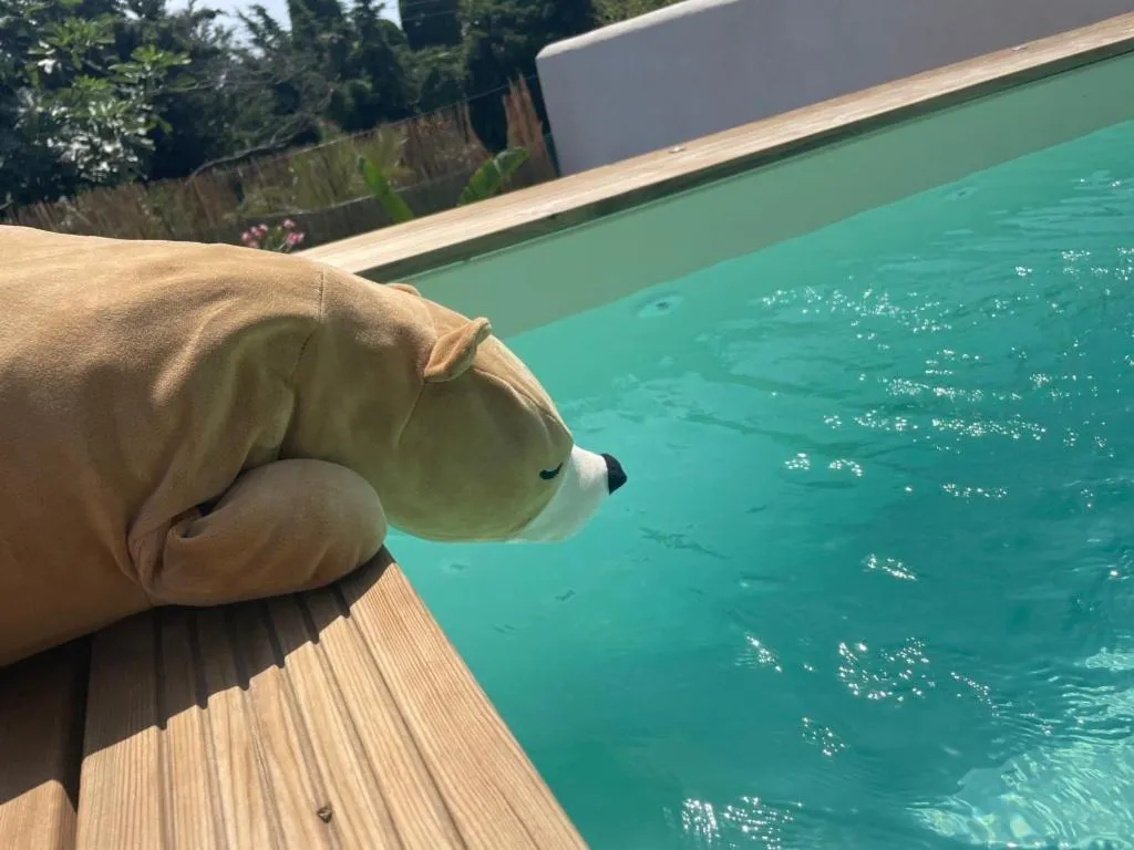Swimming pool in Hôtel La Villa Patricia - Charme et Tradition