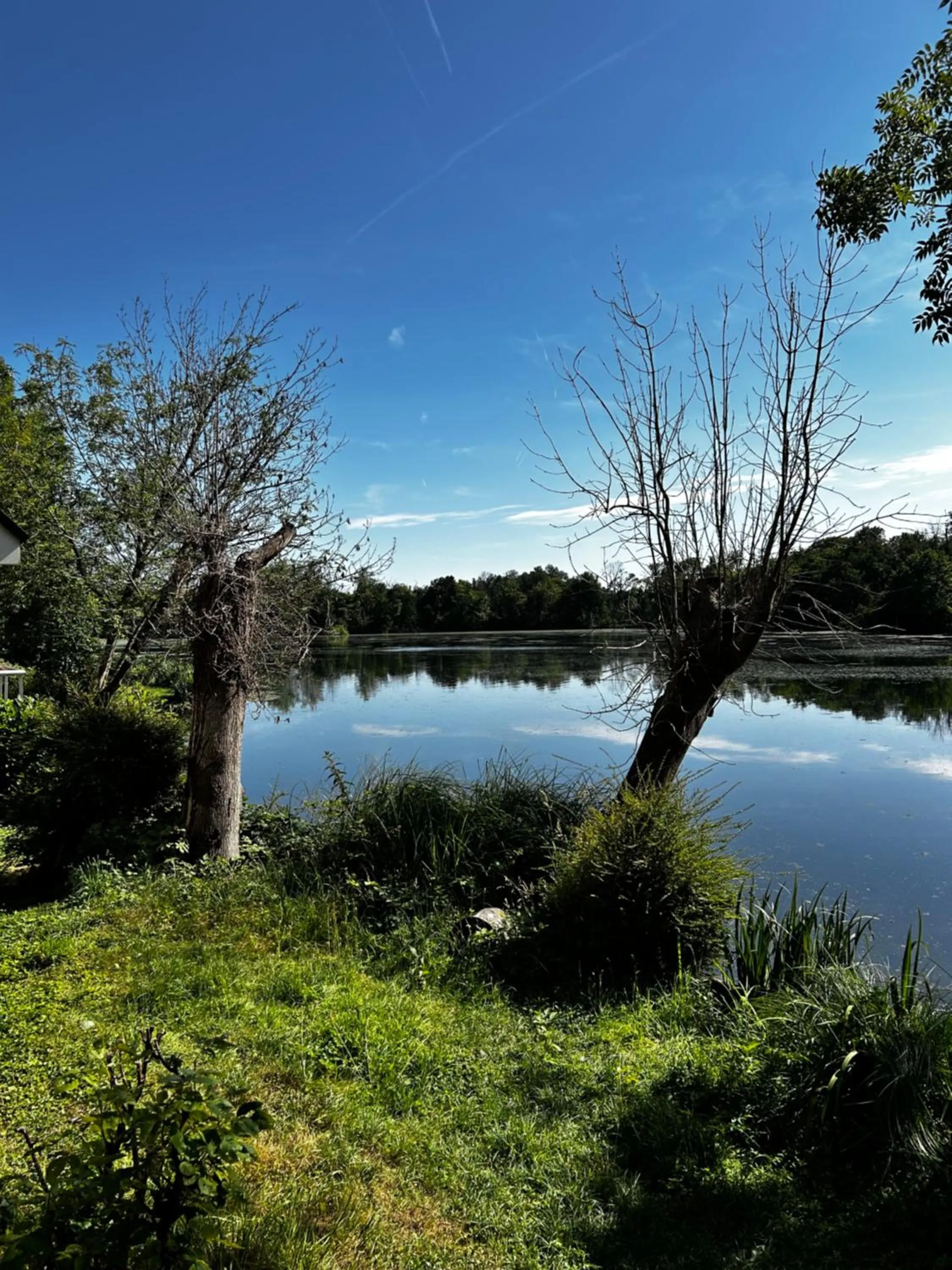 Natural landscape in Hôtel L'ile Du Saussay