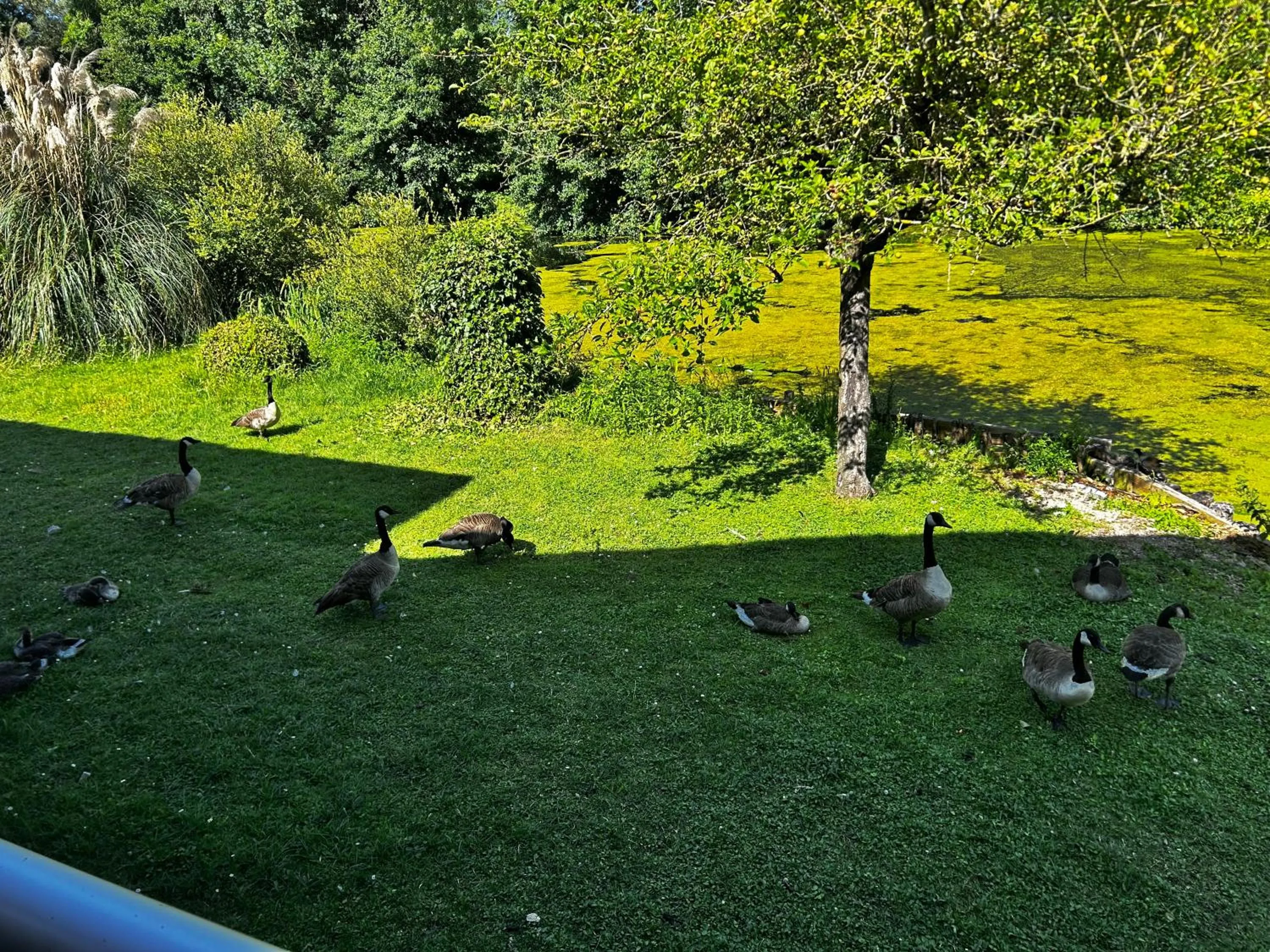 Natural landscape in Hôtel L'ile Du Saussay