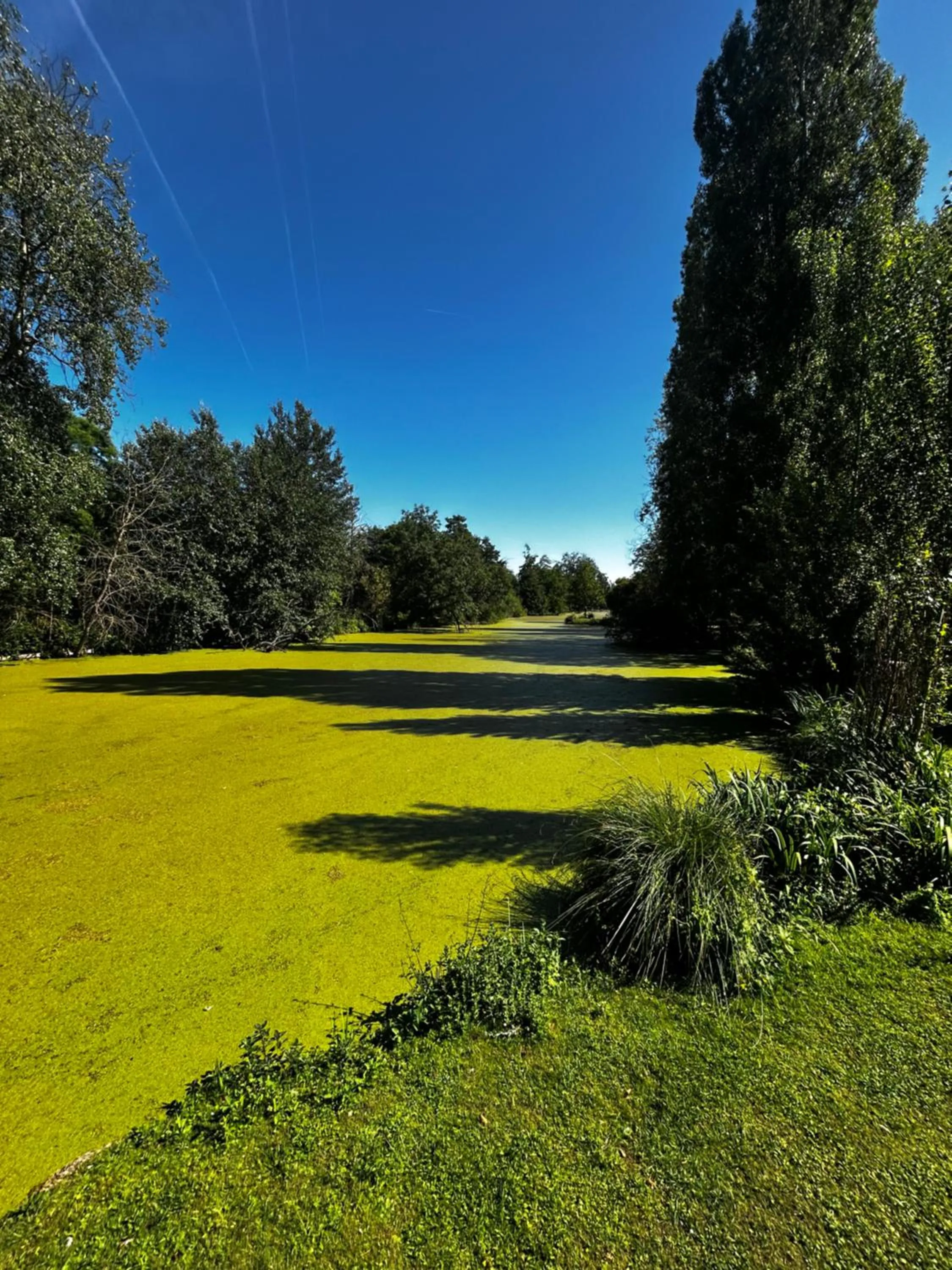 Natural landscape in Hôtel L'ile Du Saussay