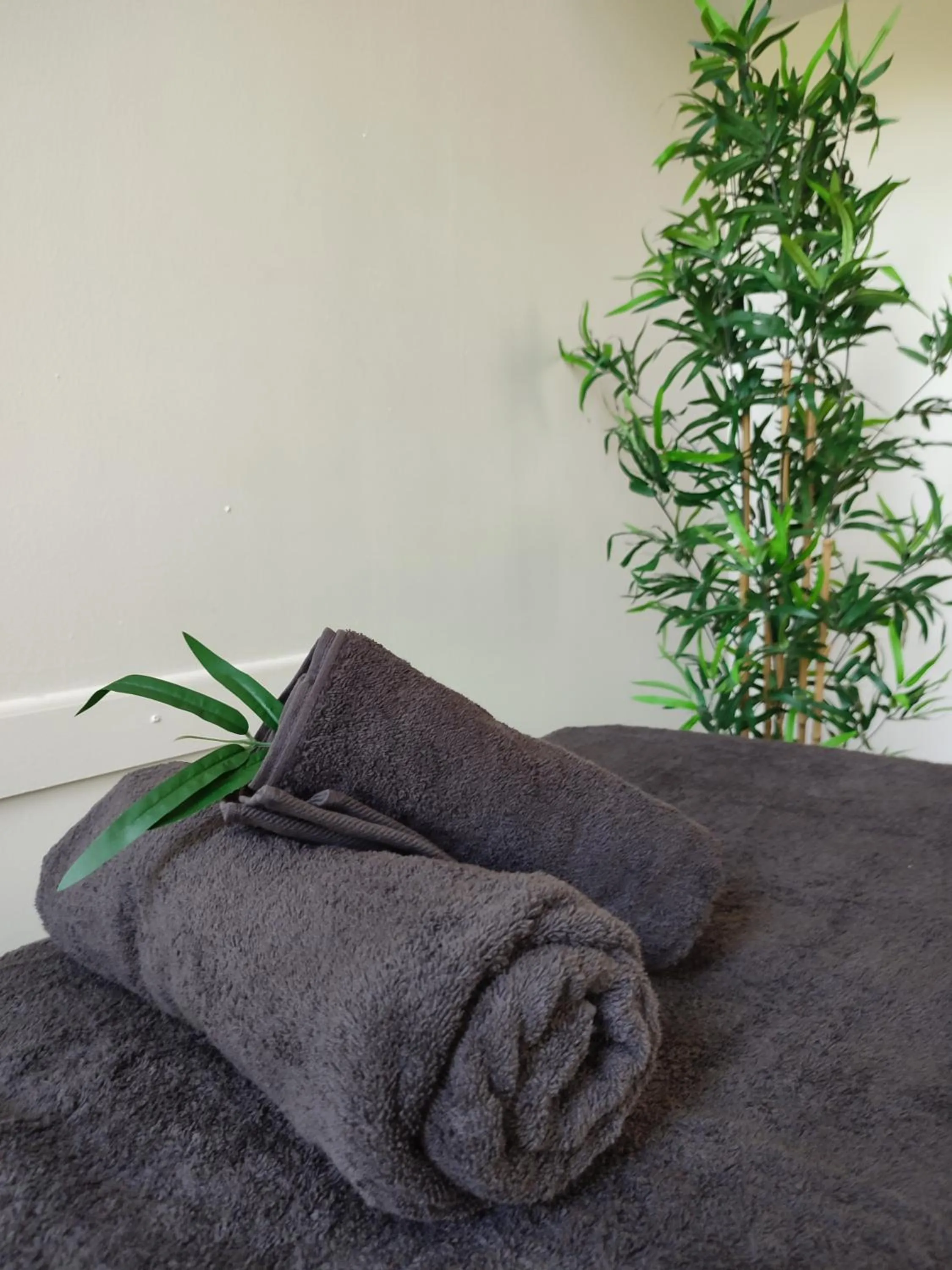 Massage in Hôtel L'ile Du Saussay