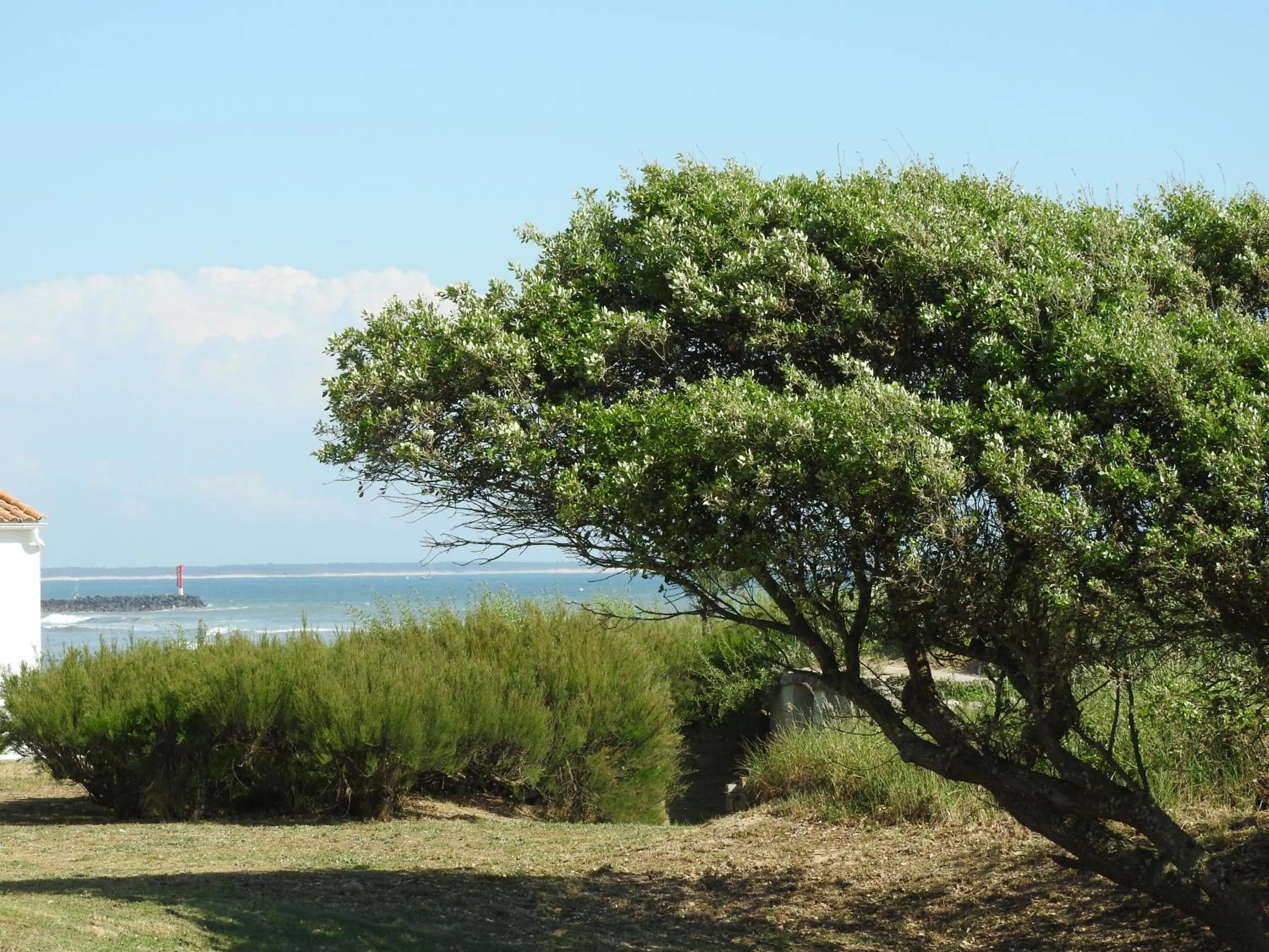 Sea view in Hôtel Île de Lumière