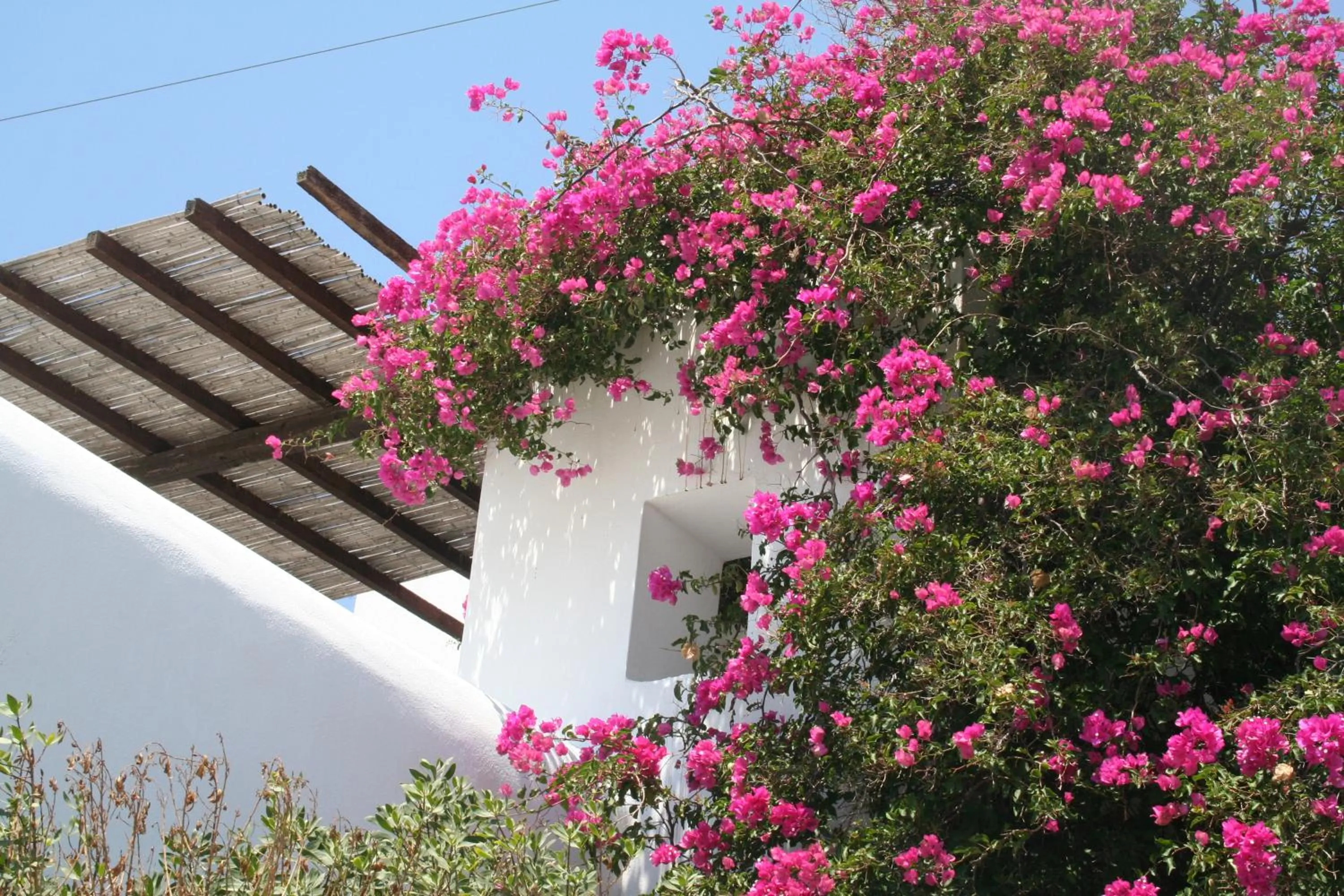 Property building in Petra Holiday Village