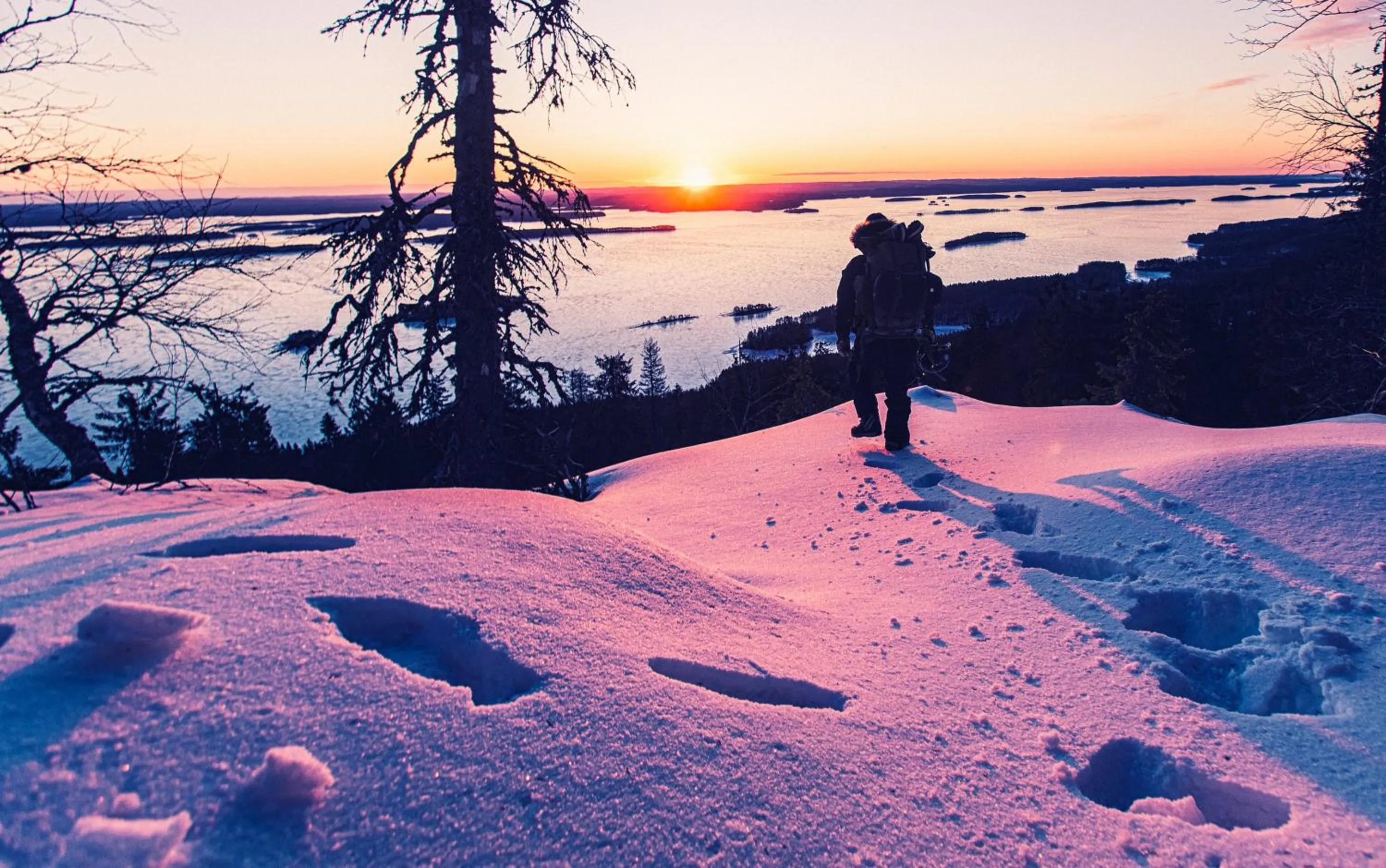 Activities in Break Sokos Hotel Koli