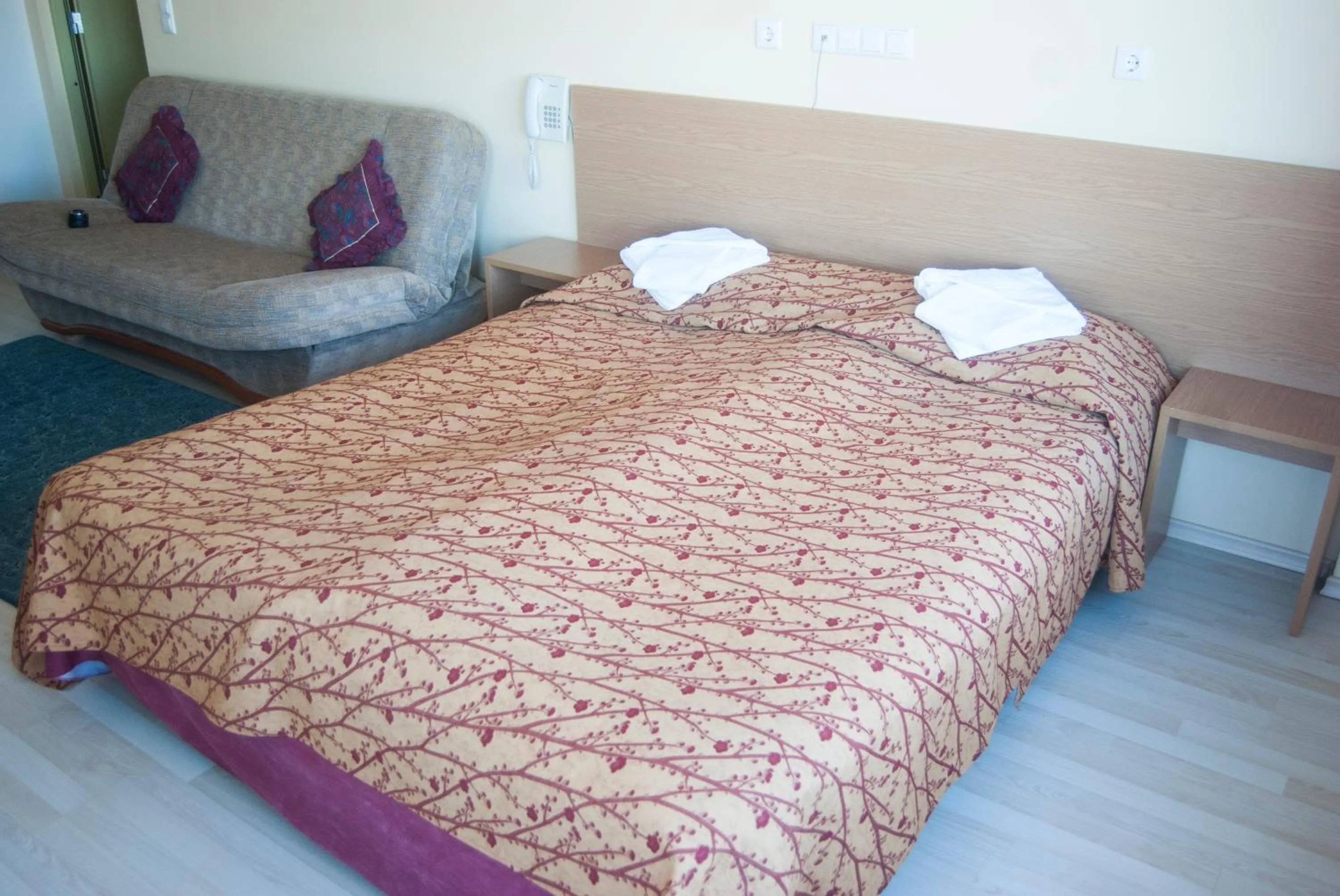 Photo of the whole room, Bed in Carolina Hotel