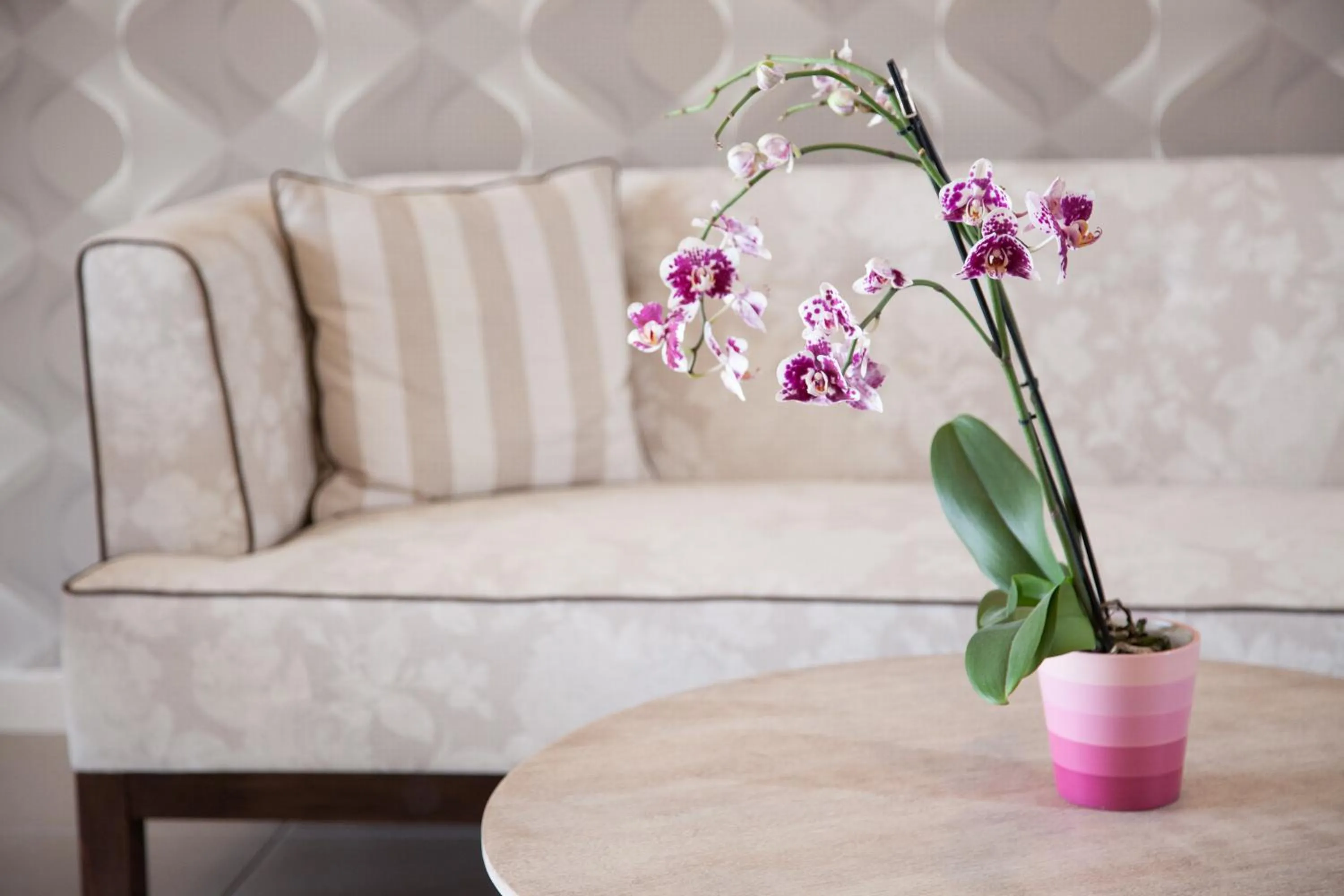 Property building in Hotel Kanali